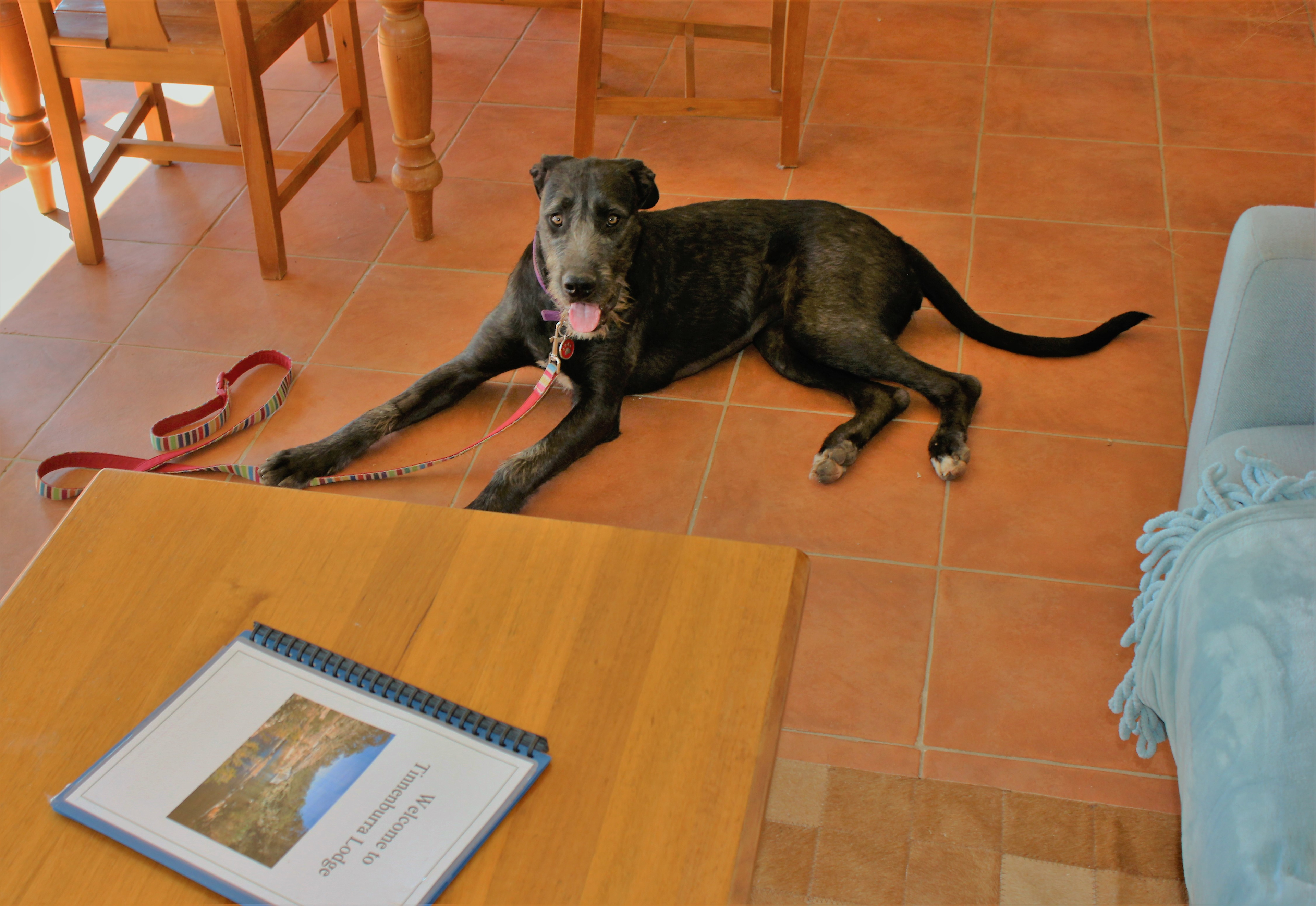 The Lodge at Tinneburra 