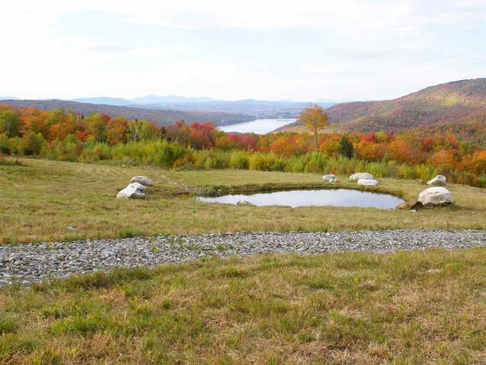 Green Mountain View’s
