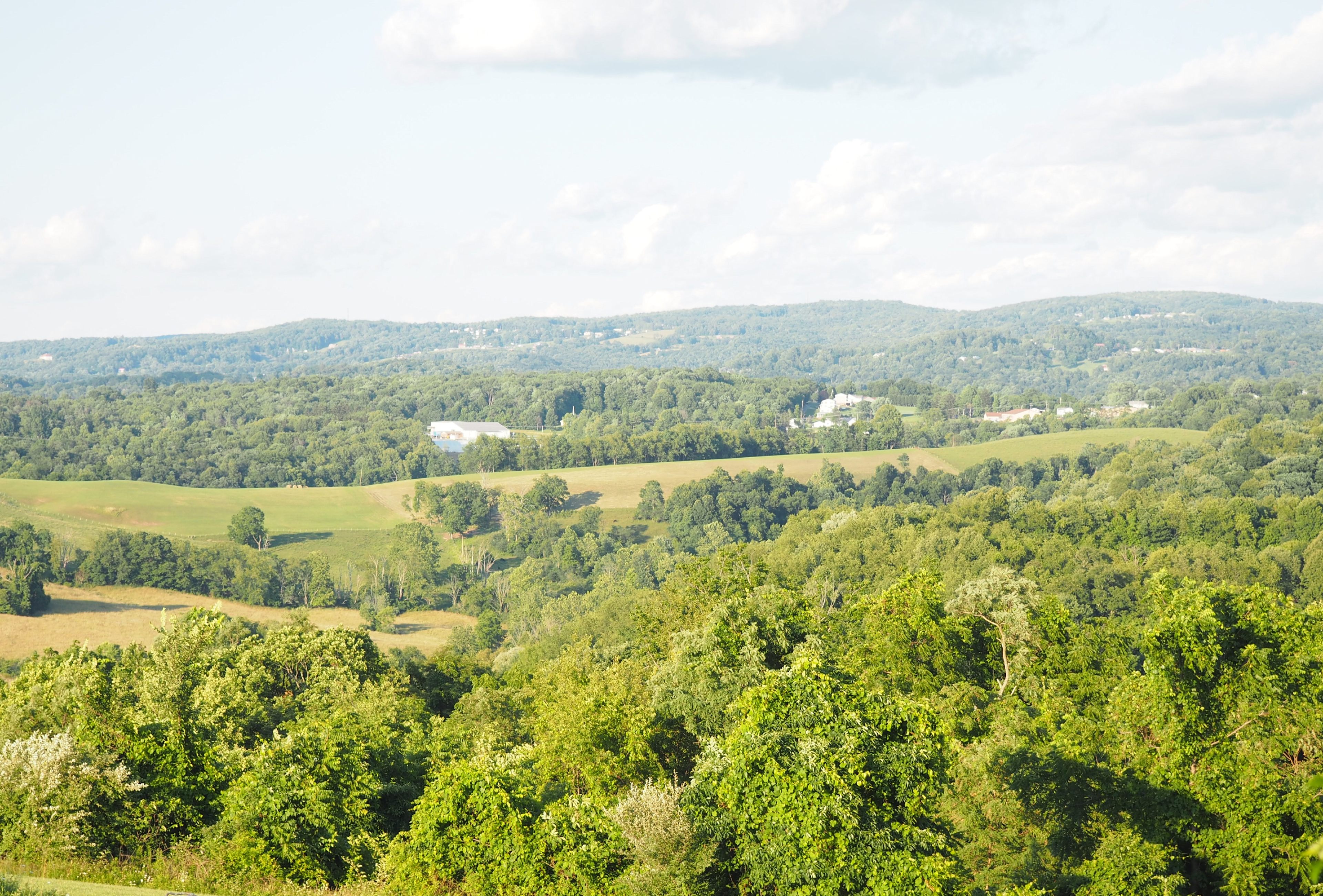 Mountains of Morgantown 💙💛