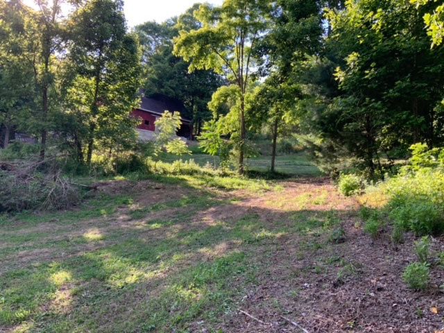 Sweet mountain stream ag-camp