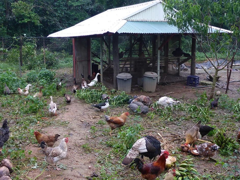 Zazen Sustainable Living Farm