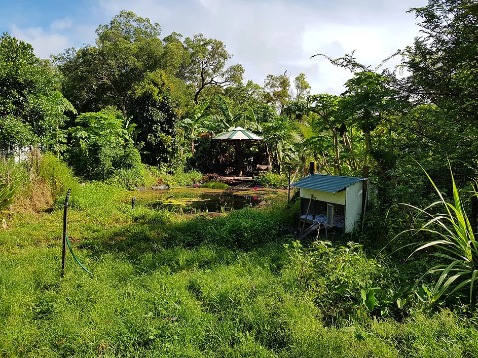 Zazen Sustainable Living Farm