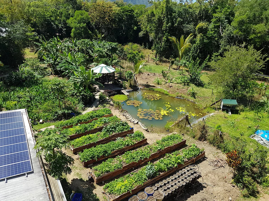Zazen Sustainable Living Farm