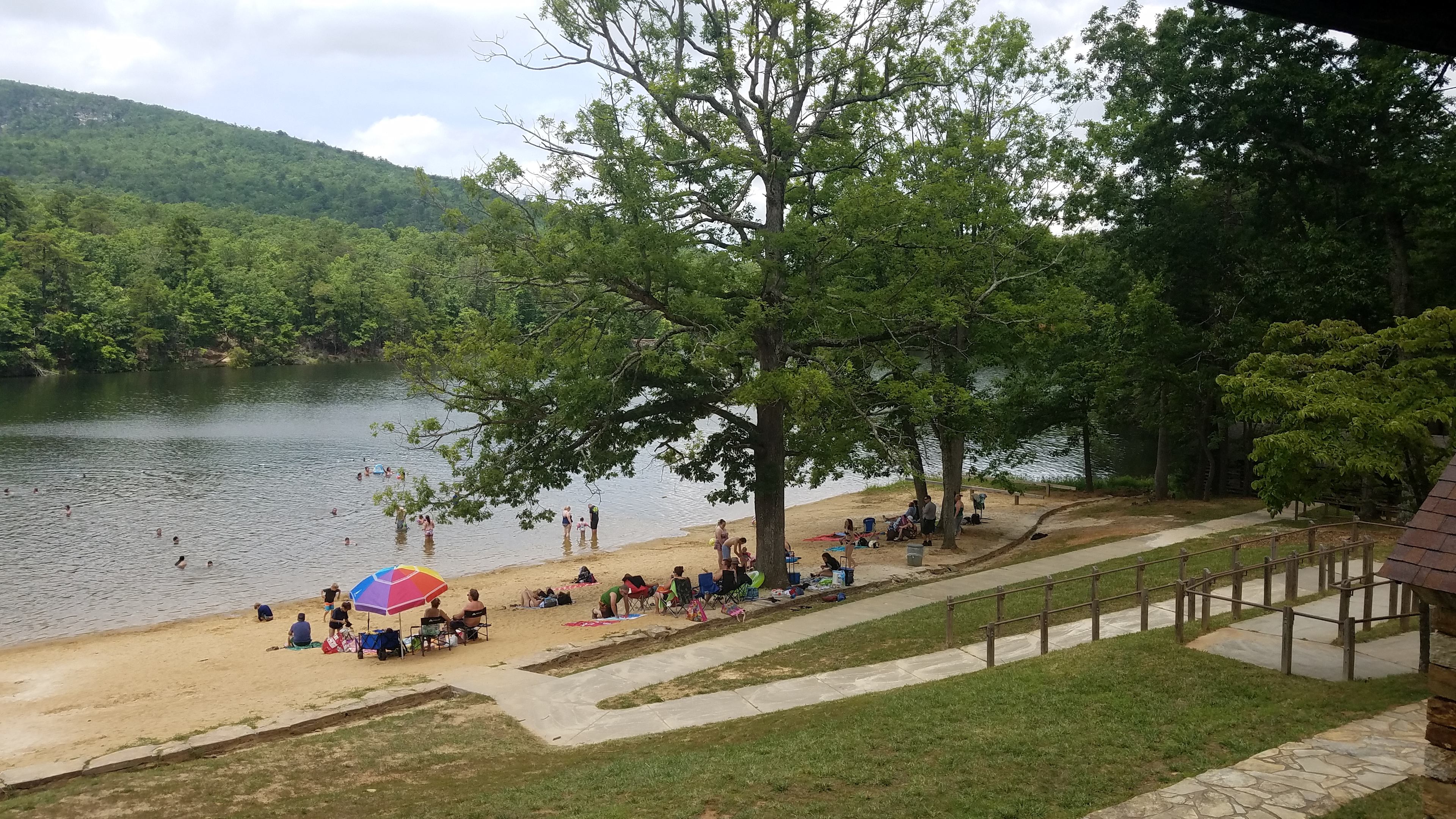 Kohler Farms-A Shire Horse...