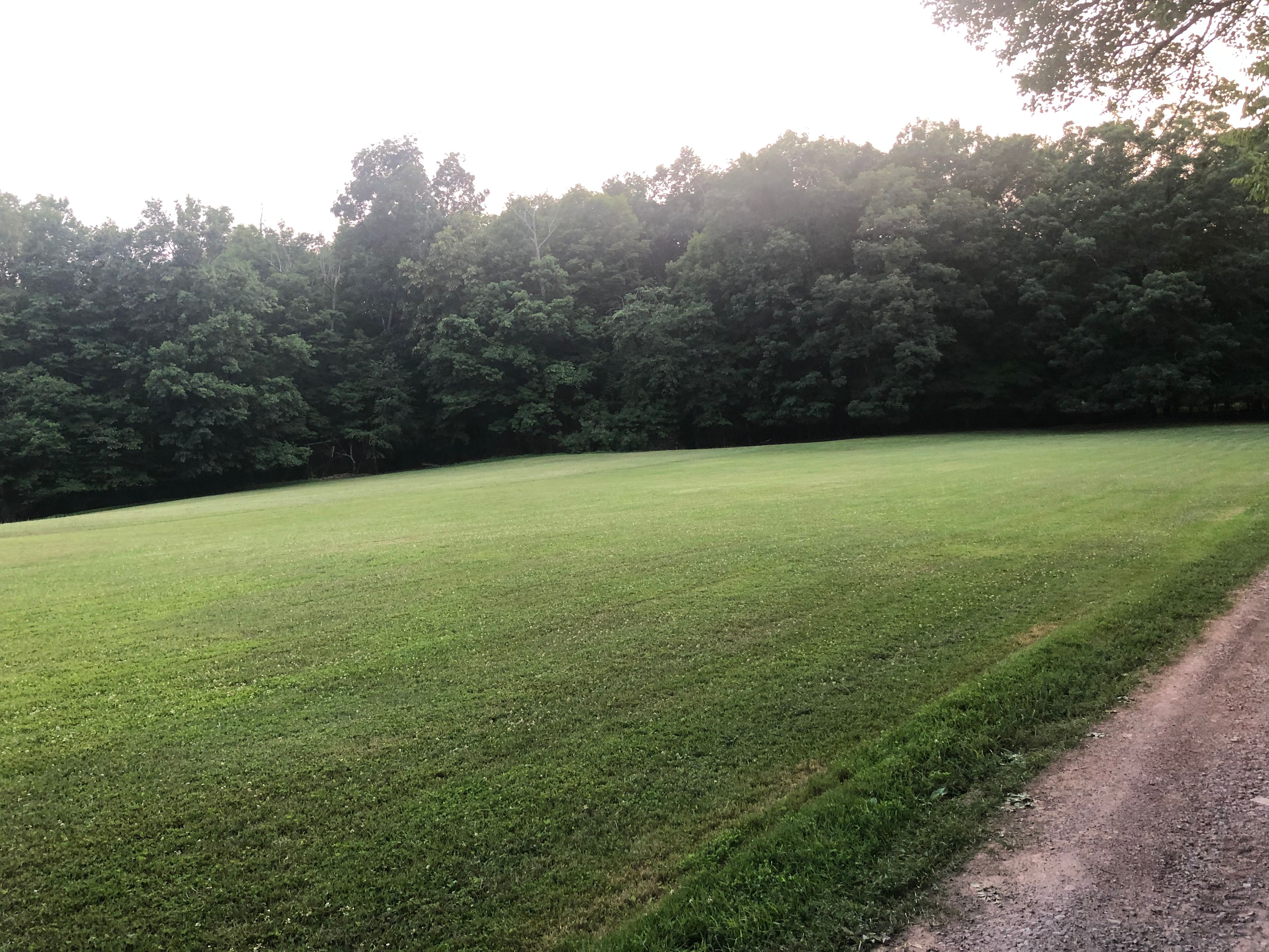 Forest or field camping