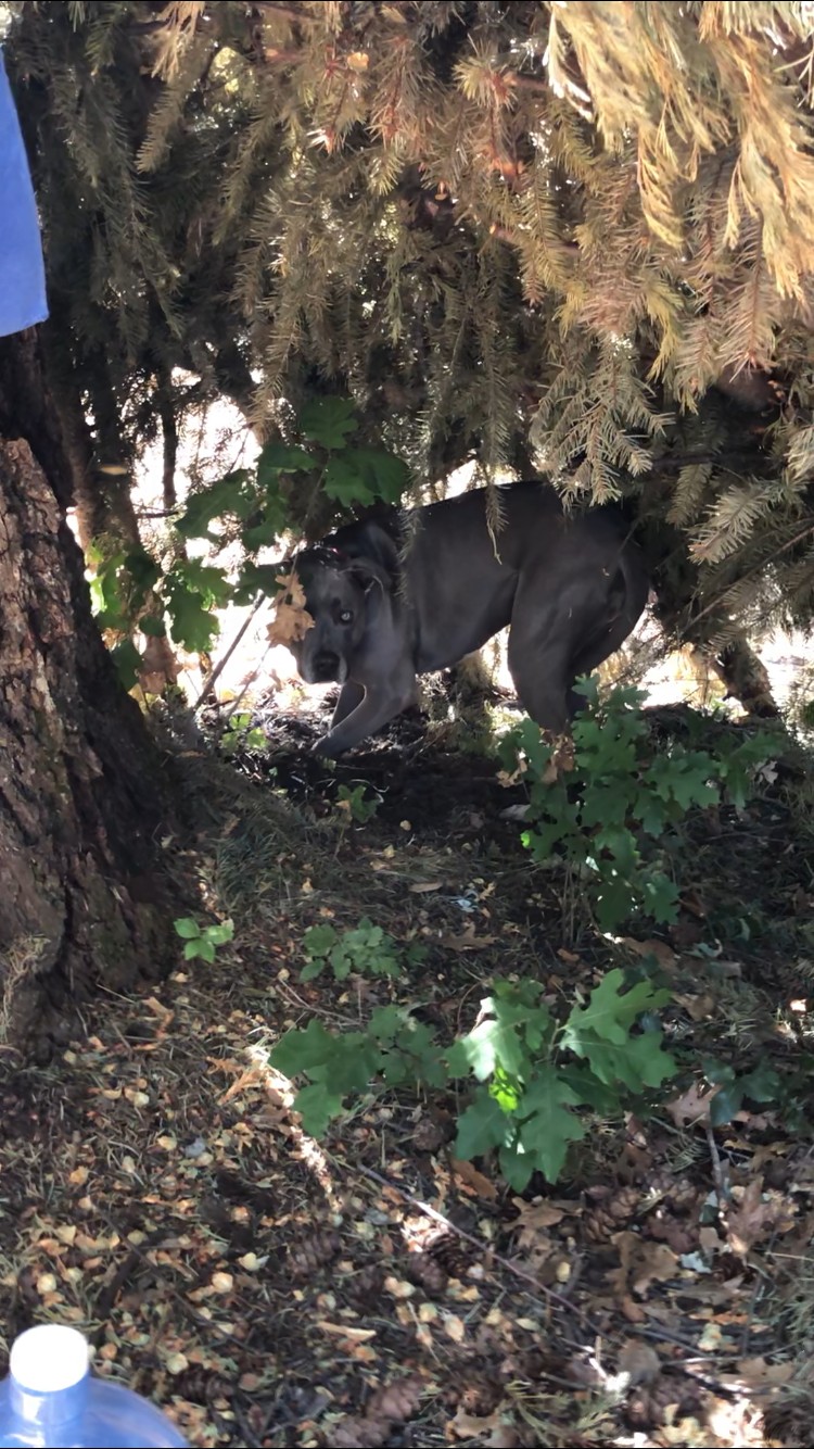 Sacred Hidden Treasure with Creek