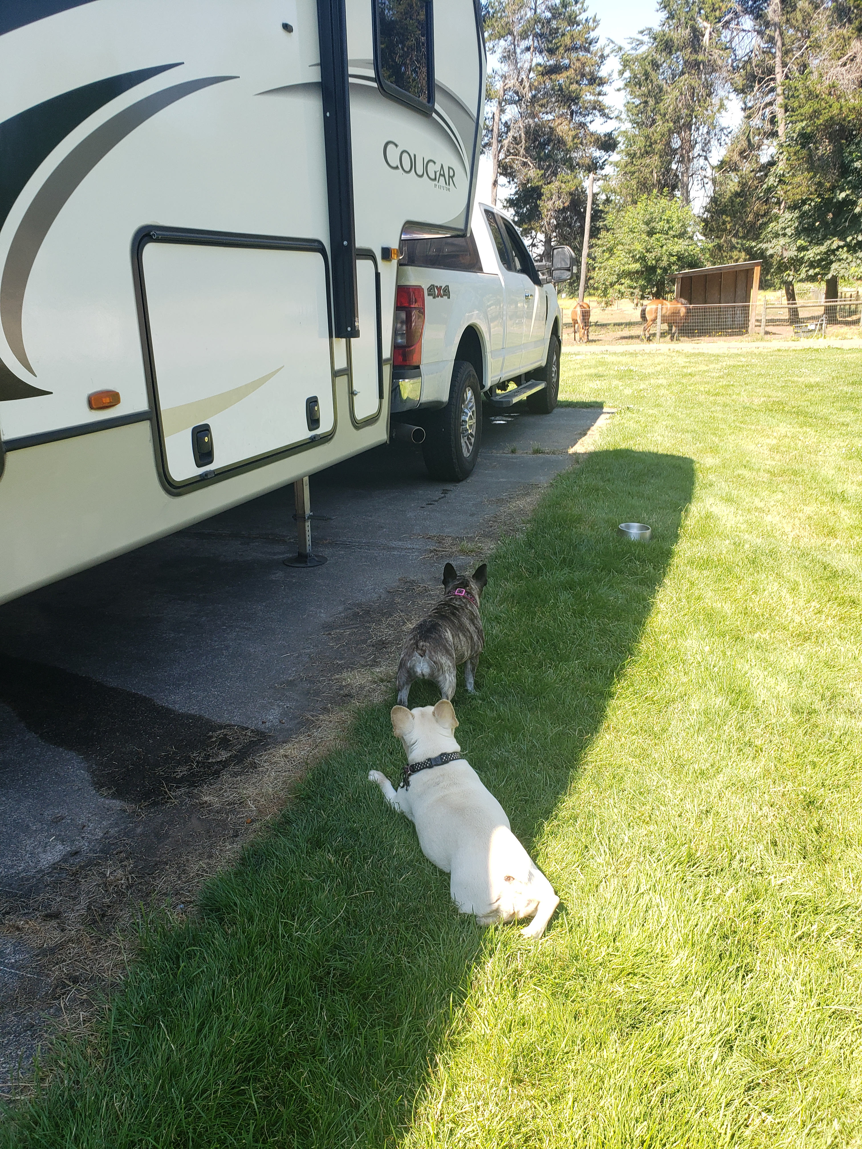 Healing Hearts Ranch