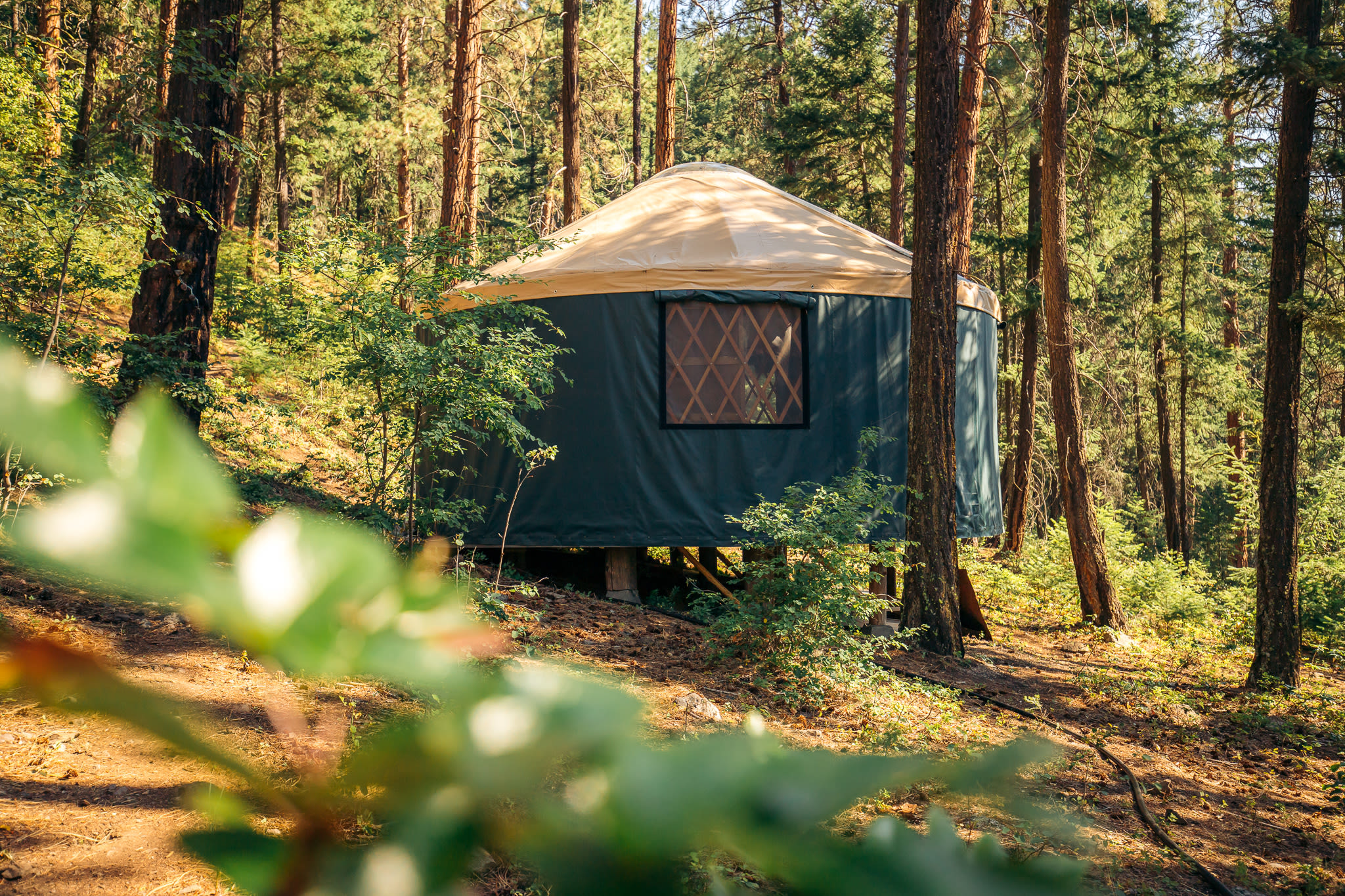 Lake Glamping with Beach and Sauna