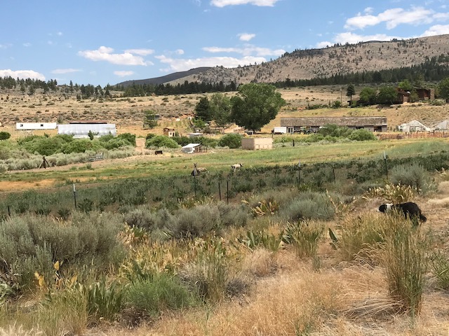 Flyte and Sparrow natural interlude