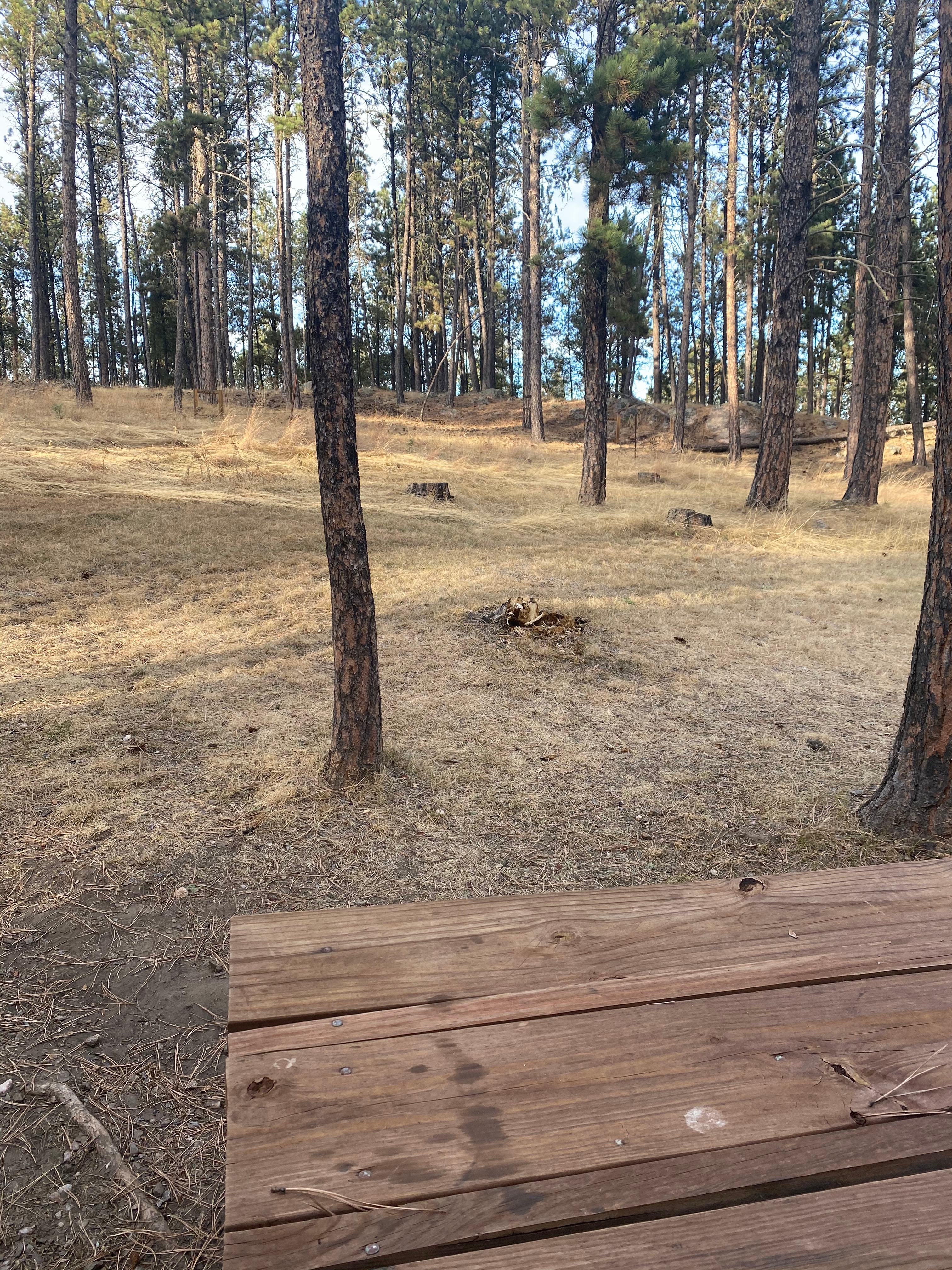 Big Pine Campground