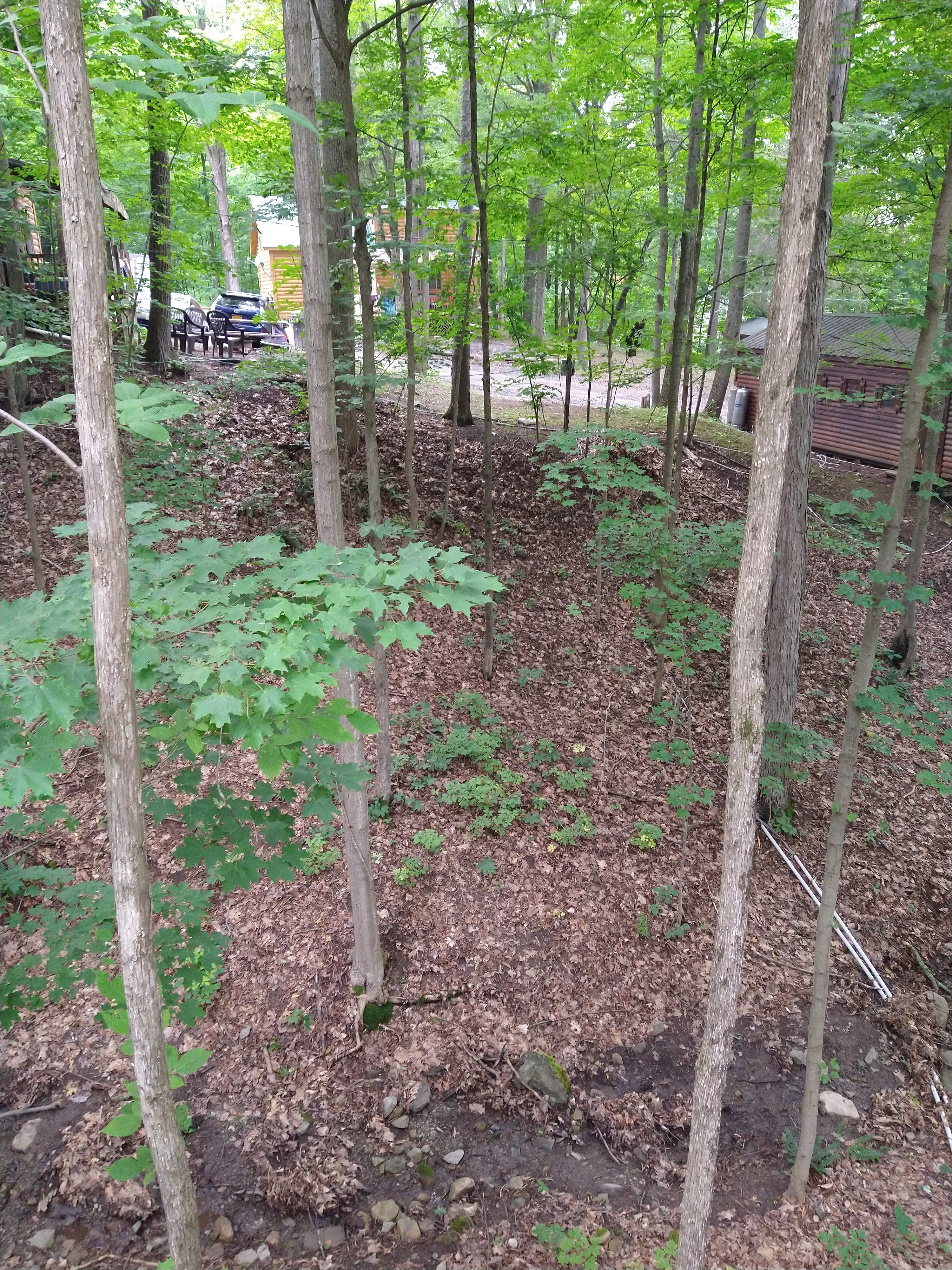 Platform is perched over a seasonal creek 