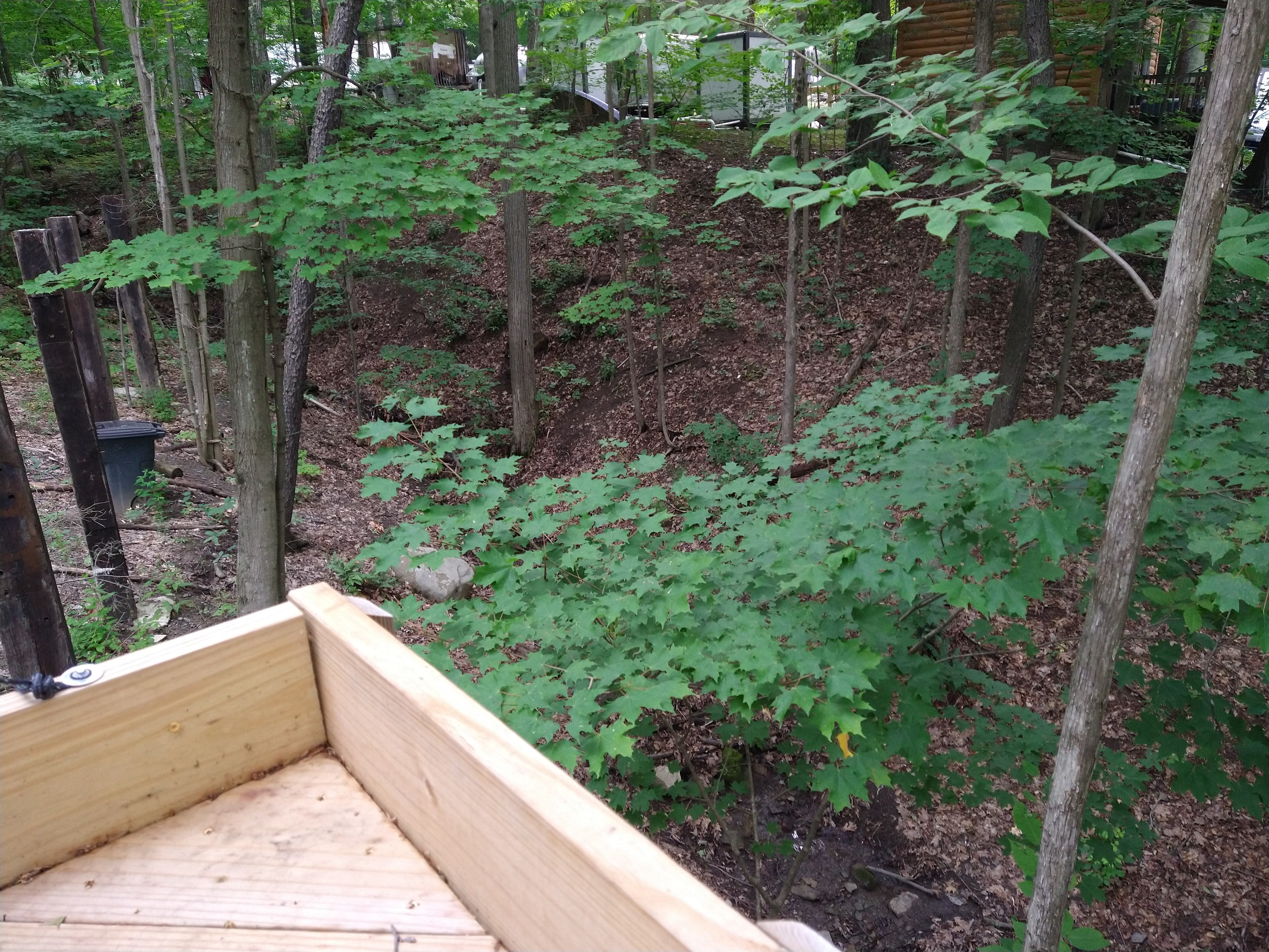 View of seasonal creek from edge of platform