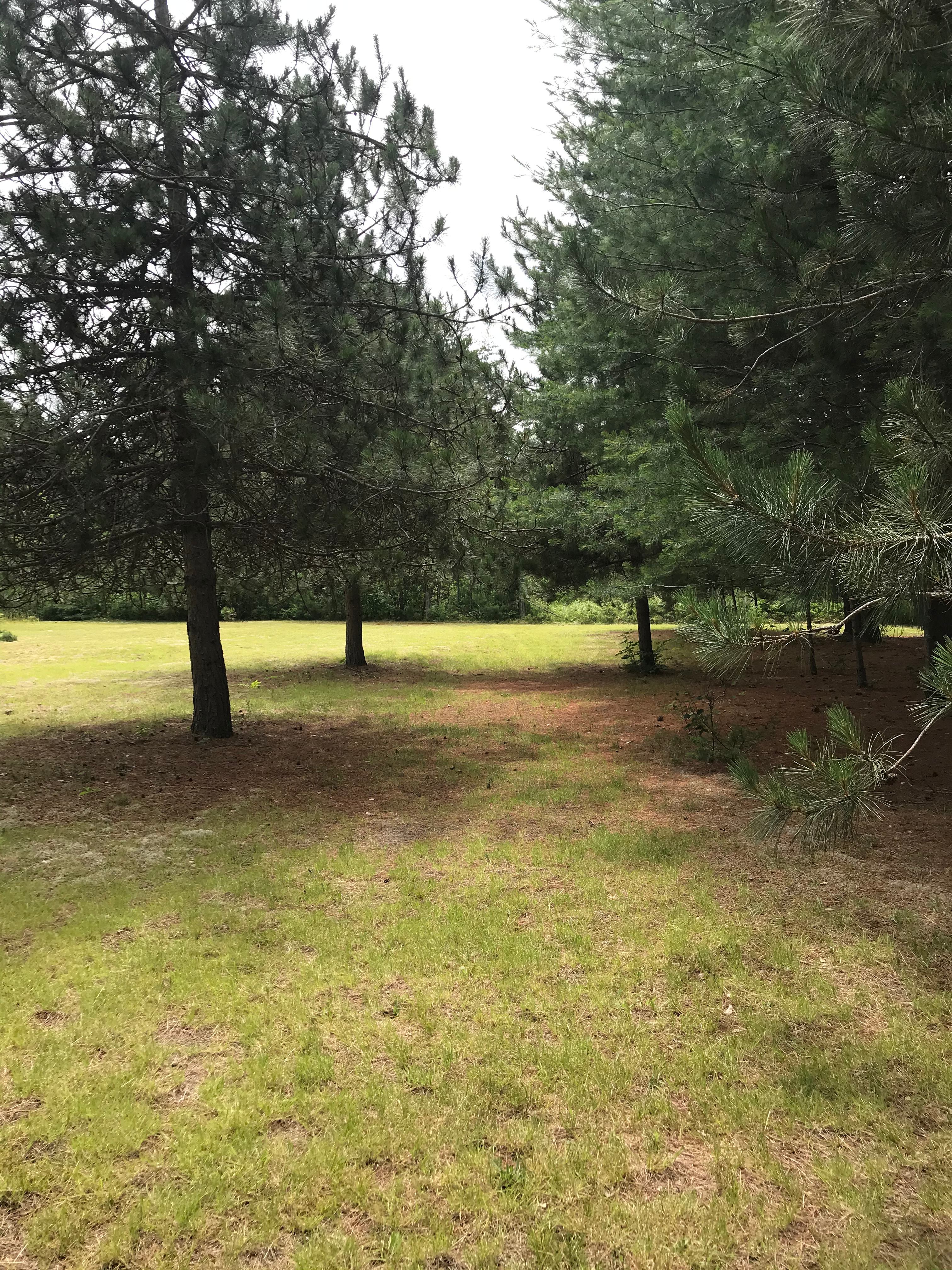 The Knotty Pines by Round Lake