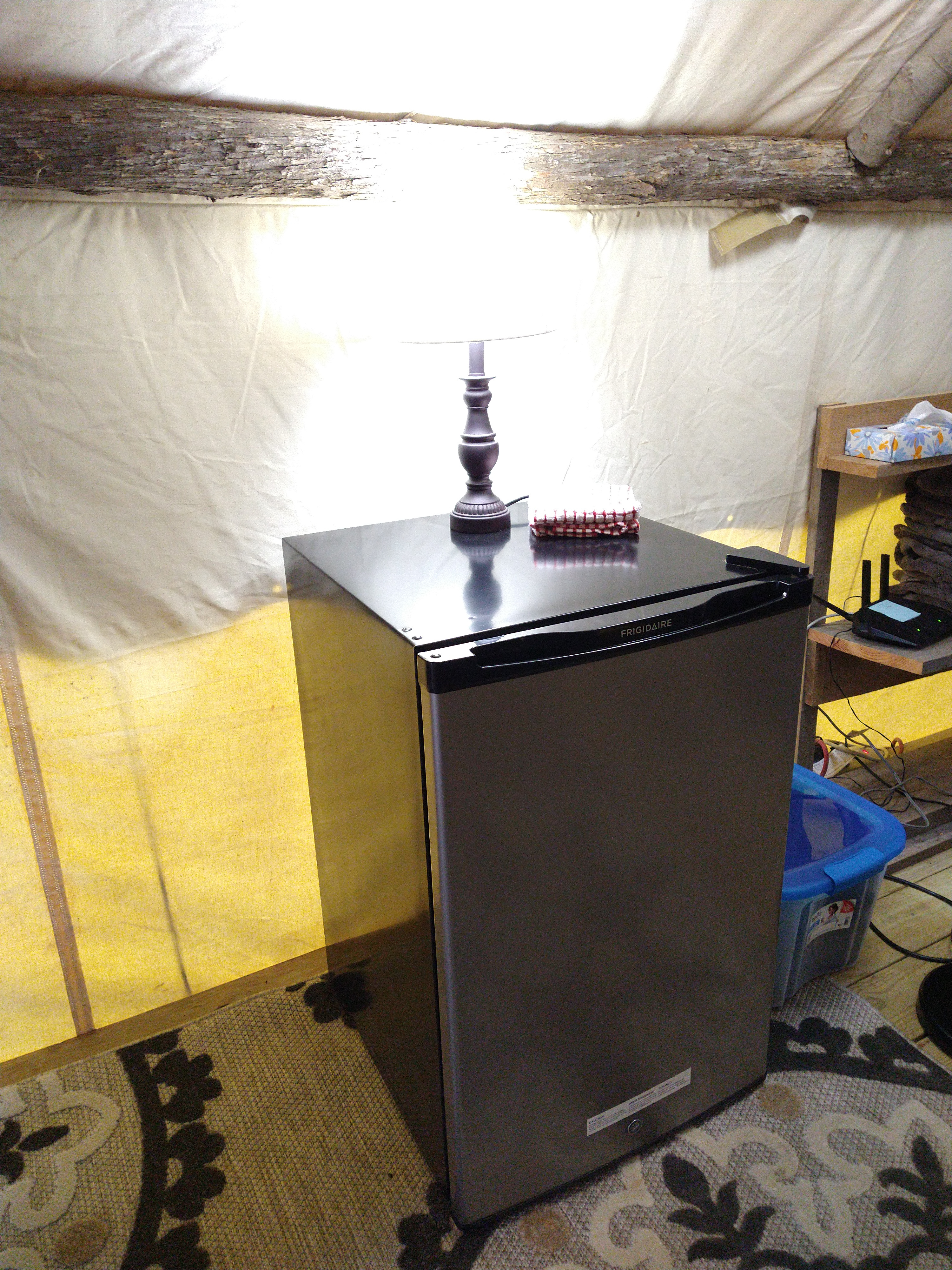 The Spotted Sandpiper