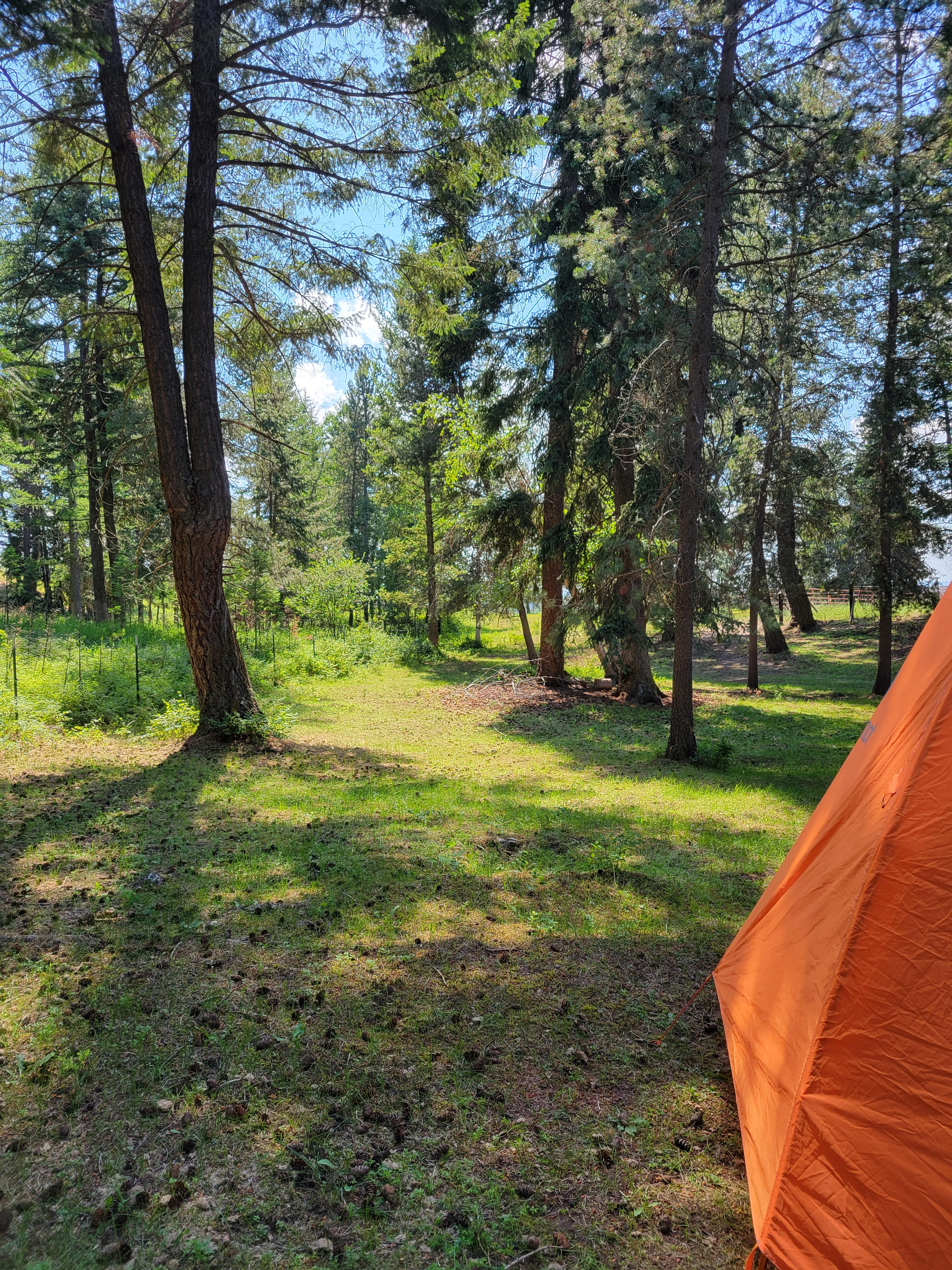 Glamping at Mountain Shadow Ranch