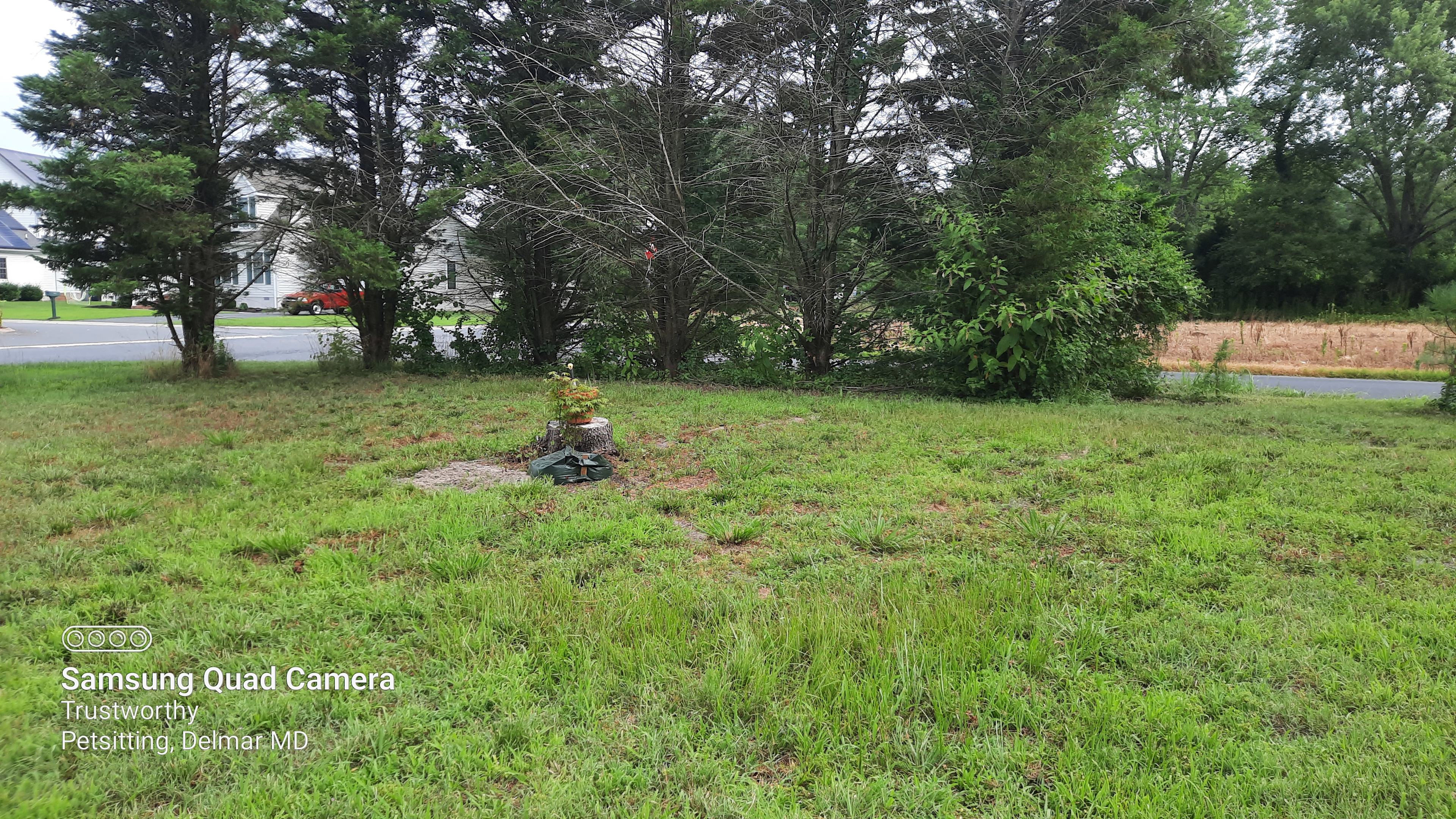 You can pull around the tree stump to exit towards the driveway. 