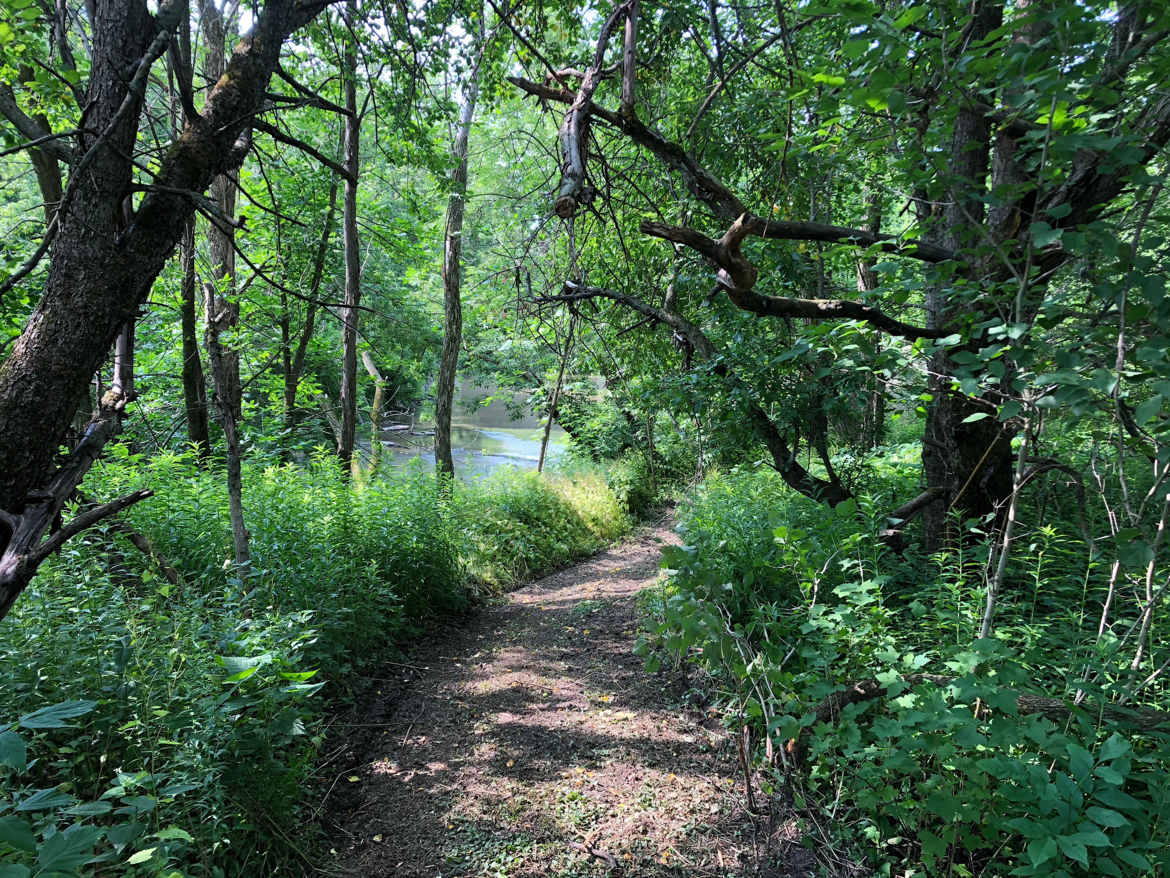 Groomed trails by the water 