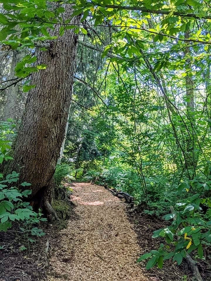 Trails for the wandering spirits.