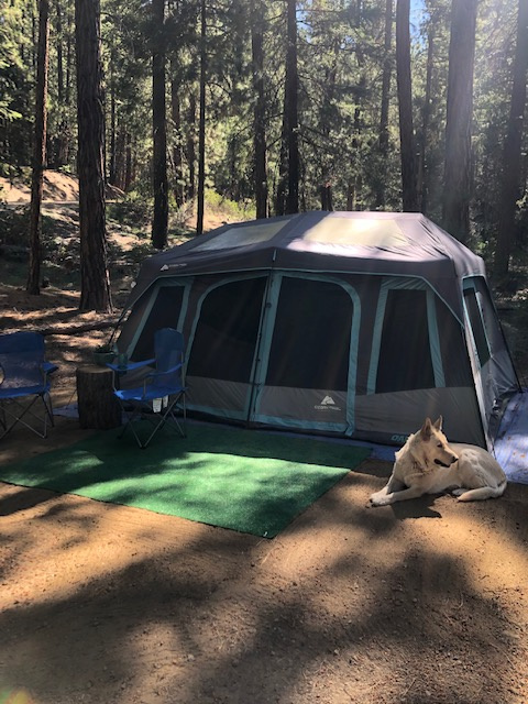 Camp Shady Meadow