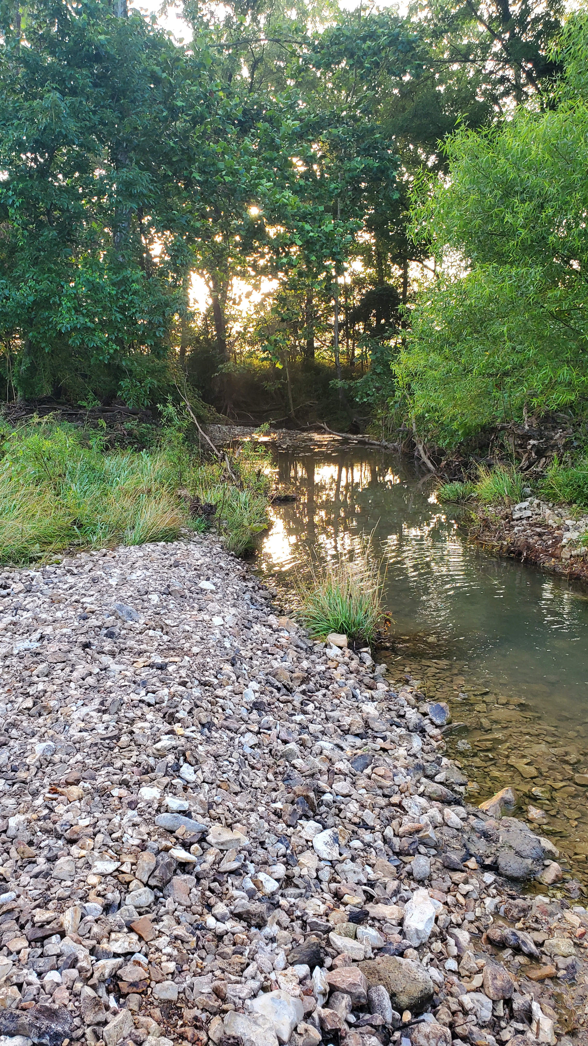 Savanna Springs
