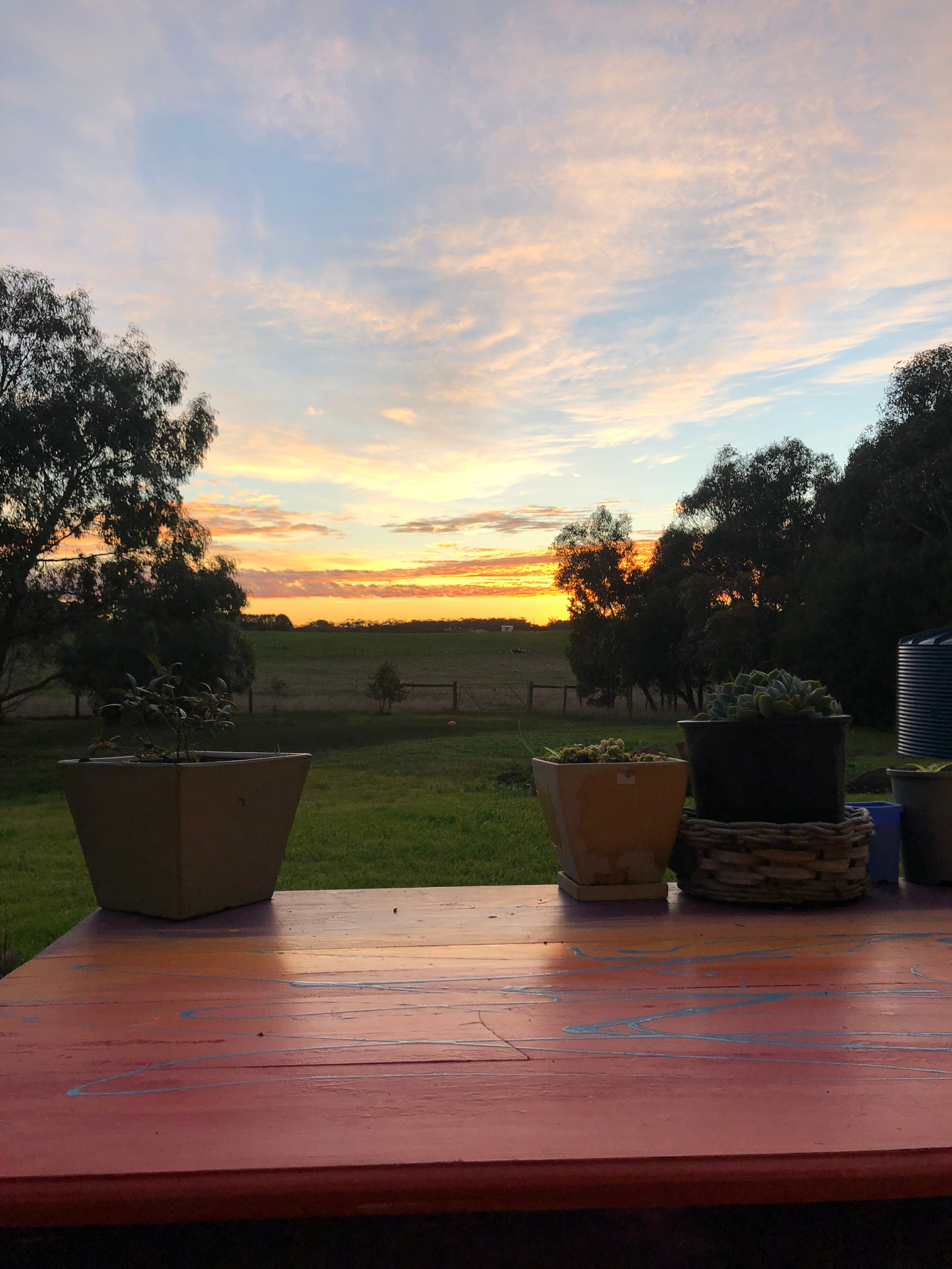 Sunrise from our bush block
