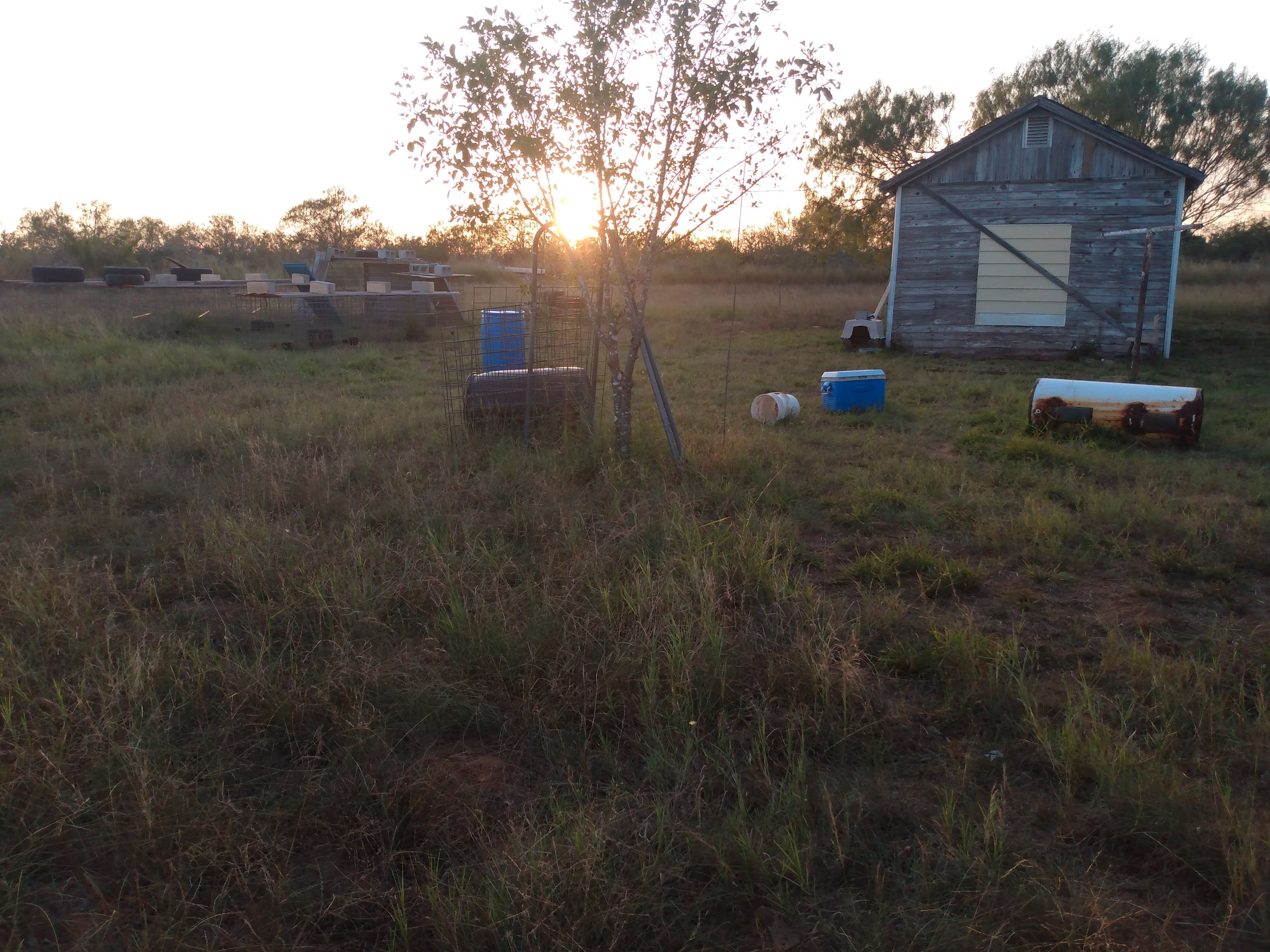 Sunset @ Sunnyside.