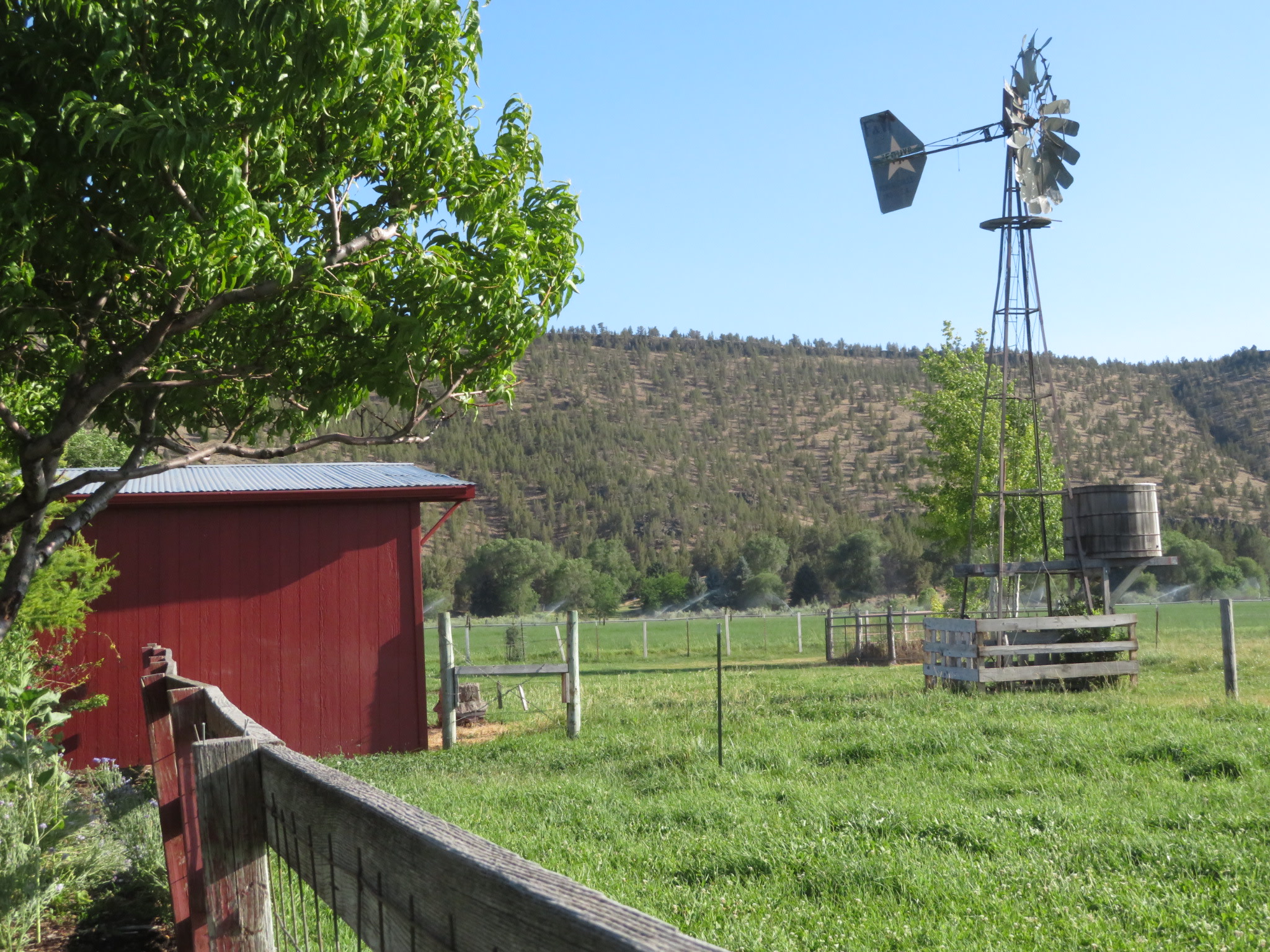 Ochoco Valley Farm