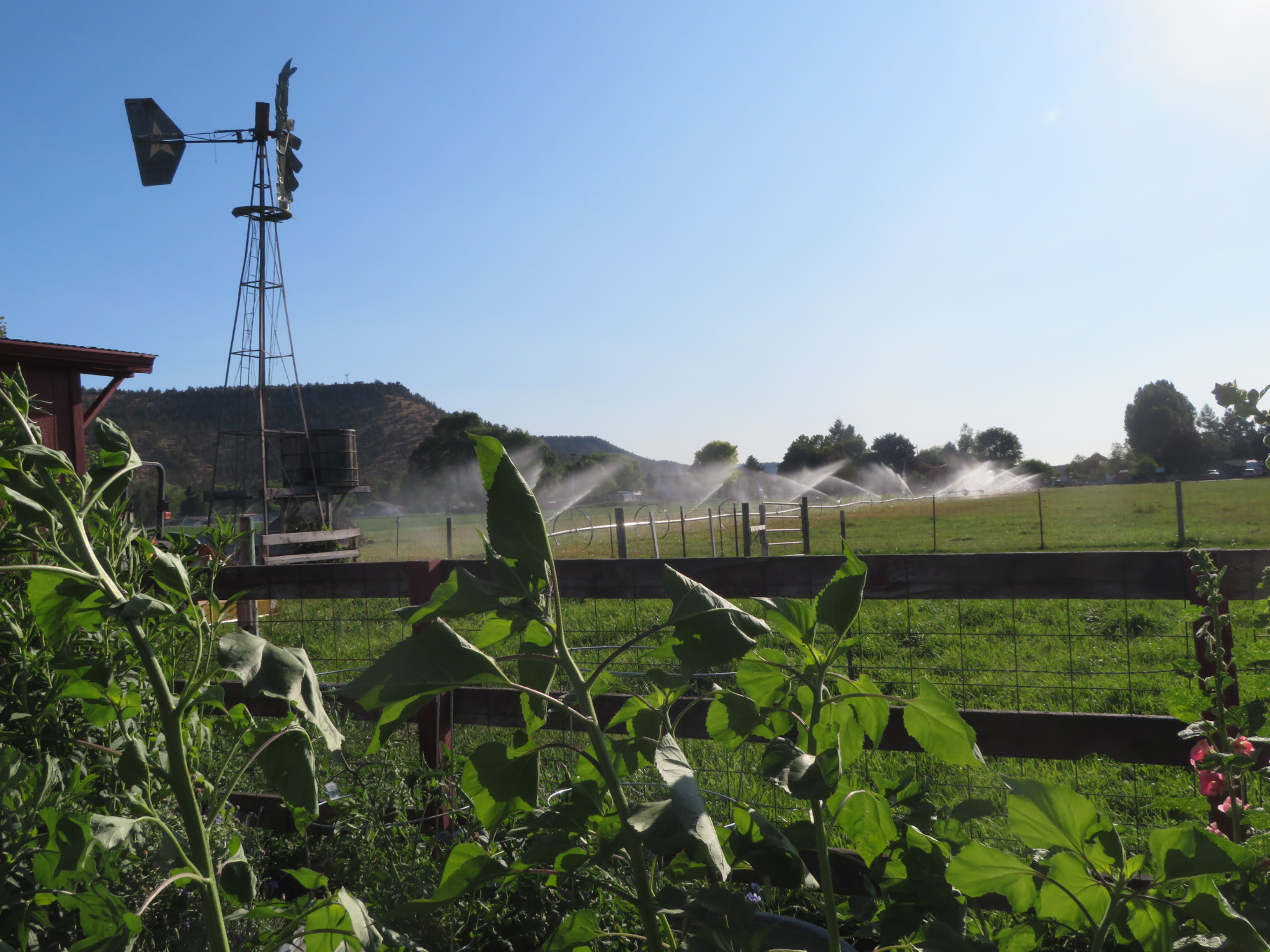 Ochoco Valley Farm