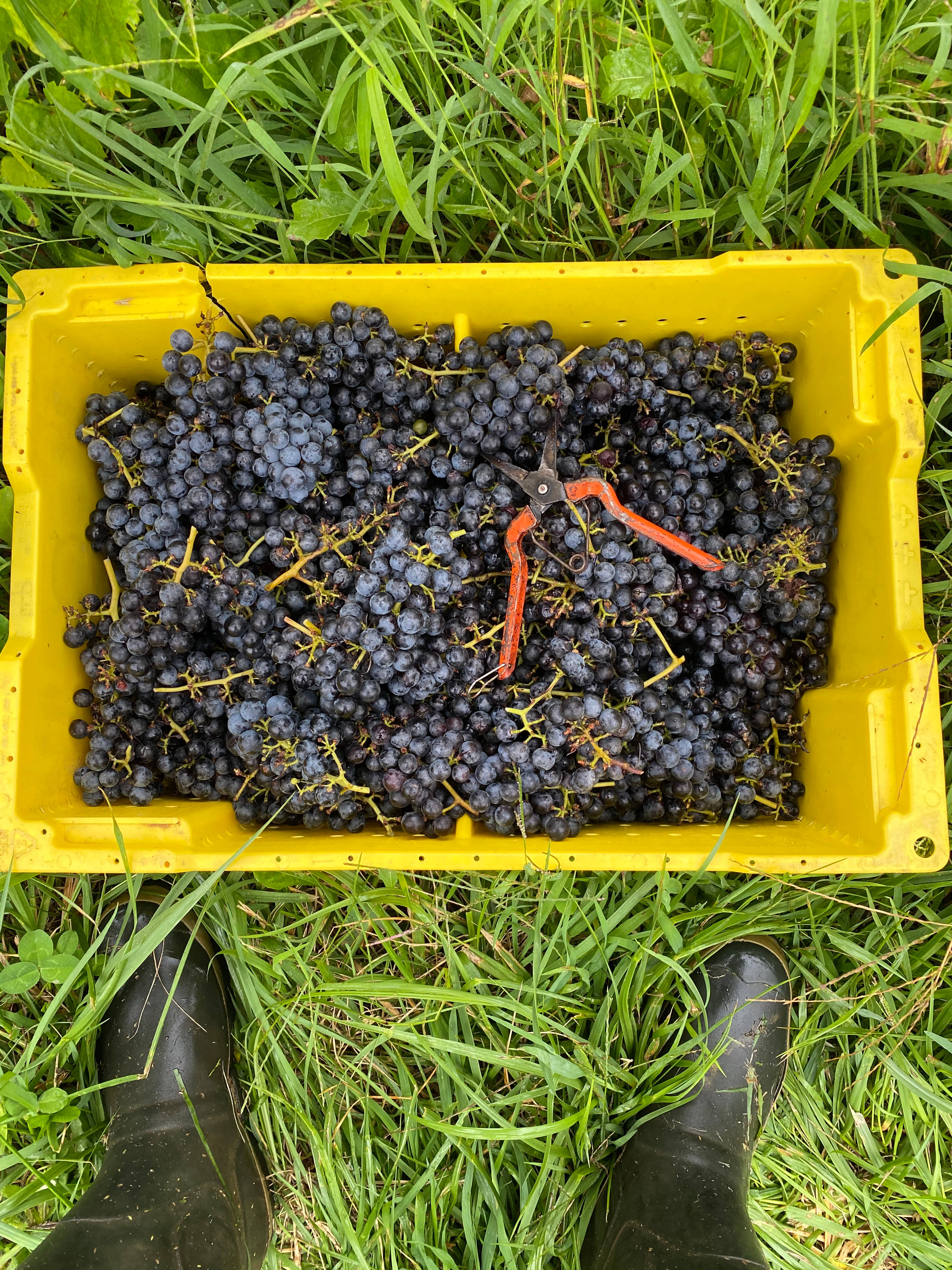 Camping at Wilderness Run