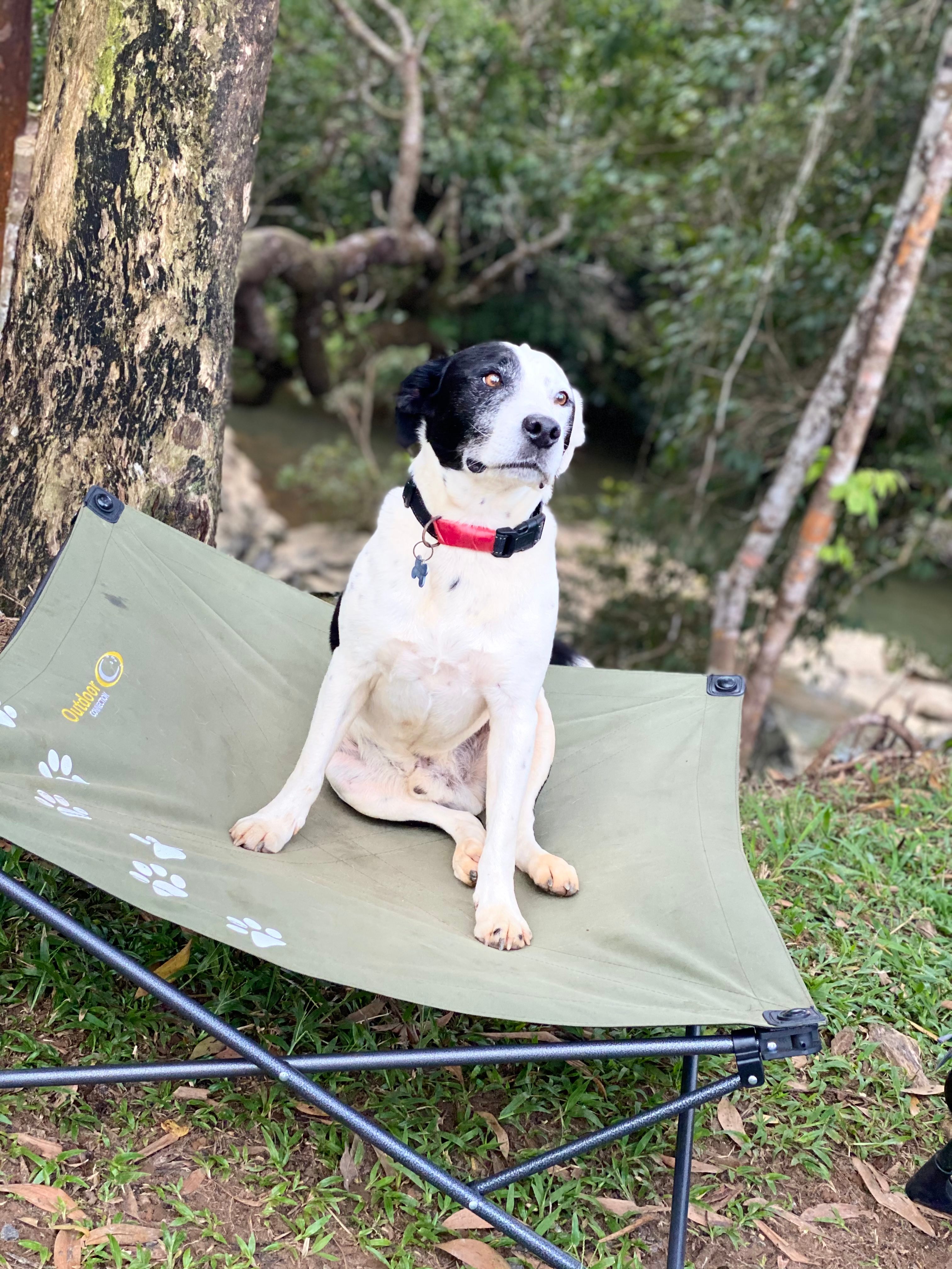 Mena Creek River Retreat Camp