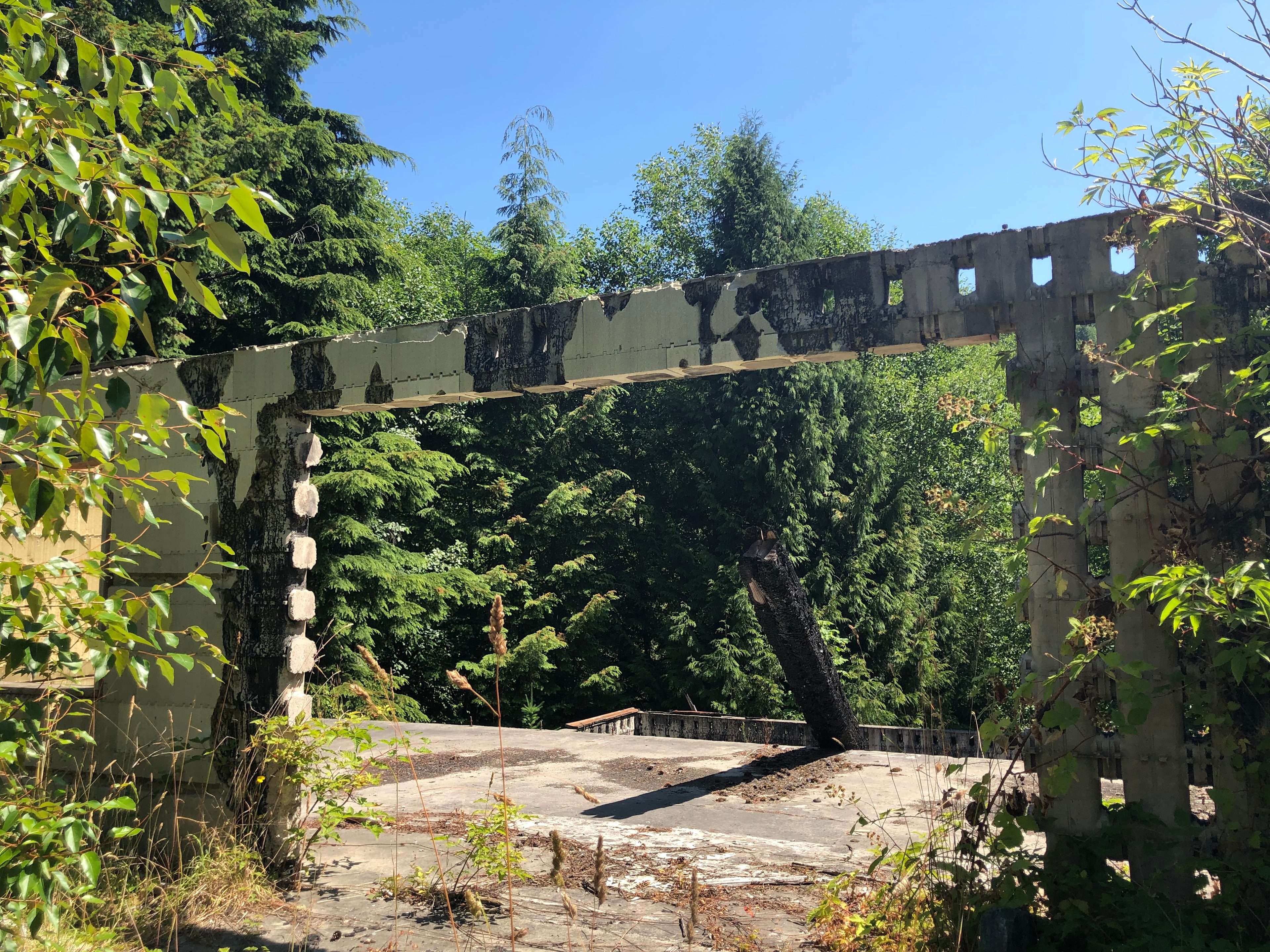 What remains of the once grand house, built with cedar wood harvested from the property.
