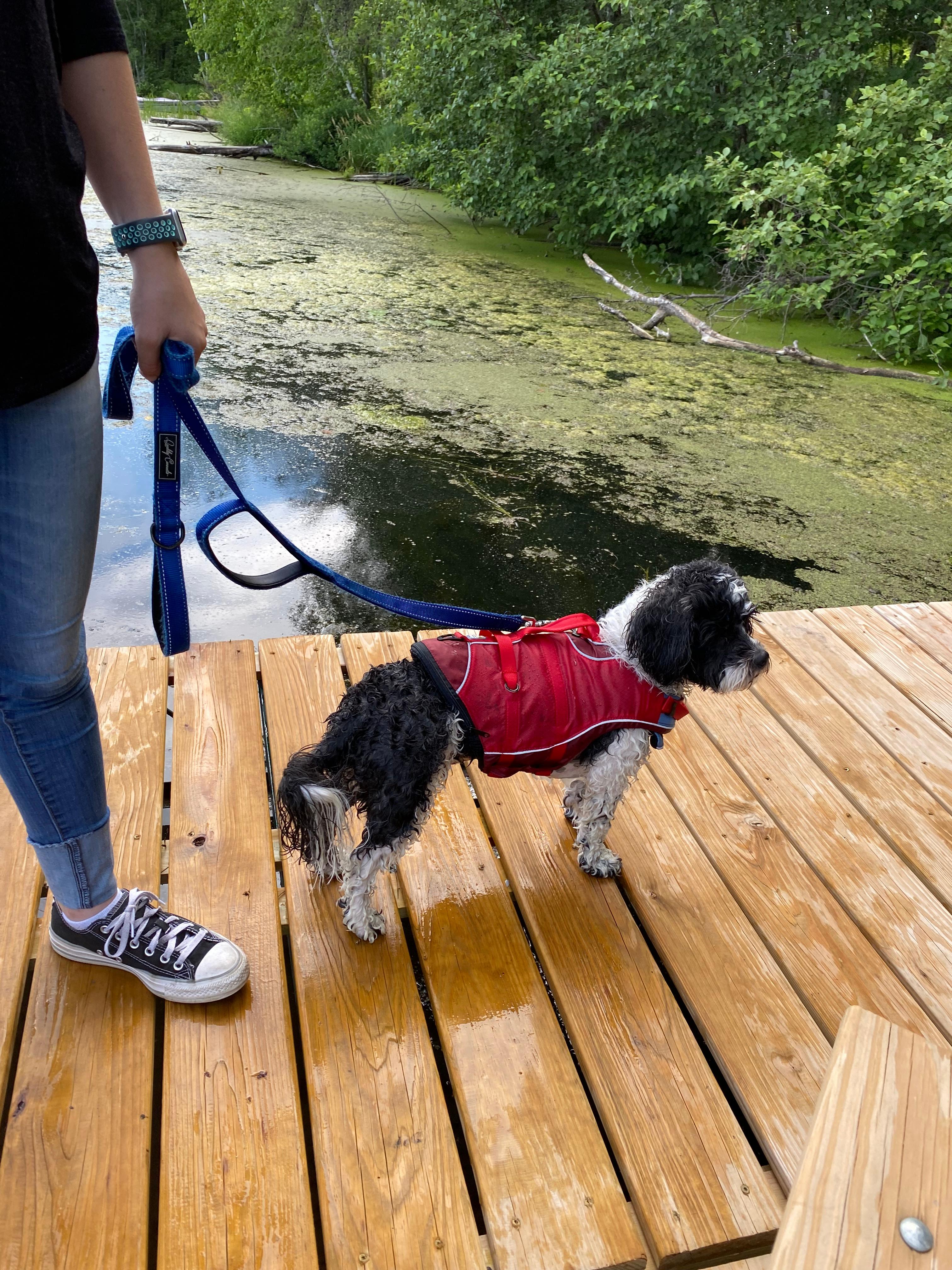 Trego Lake Lakefront Property