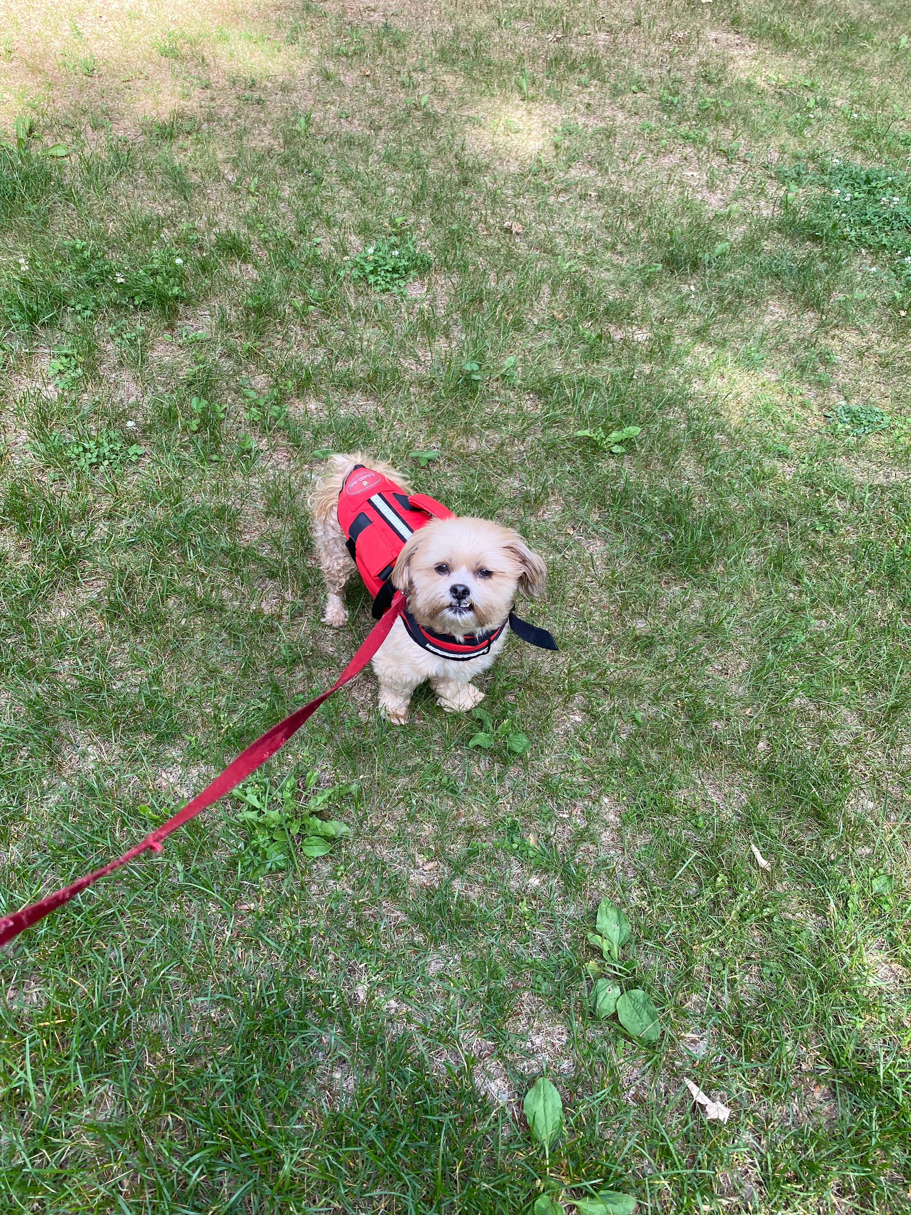 Trego Lake Lakefront Property