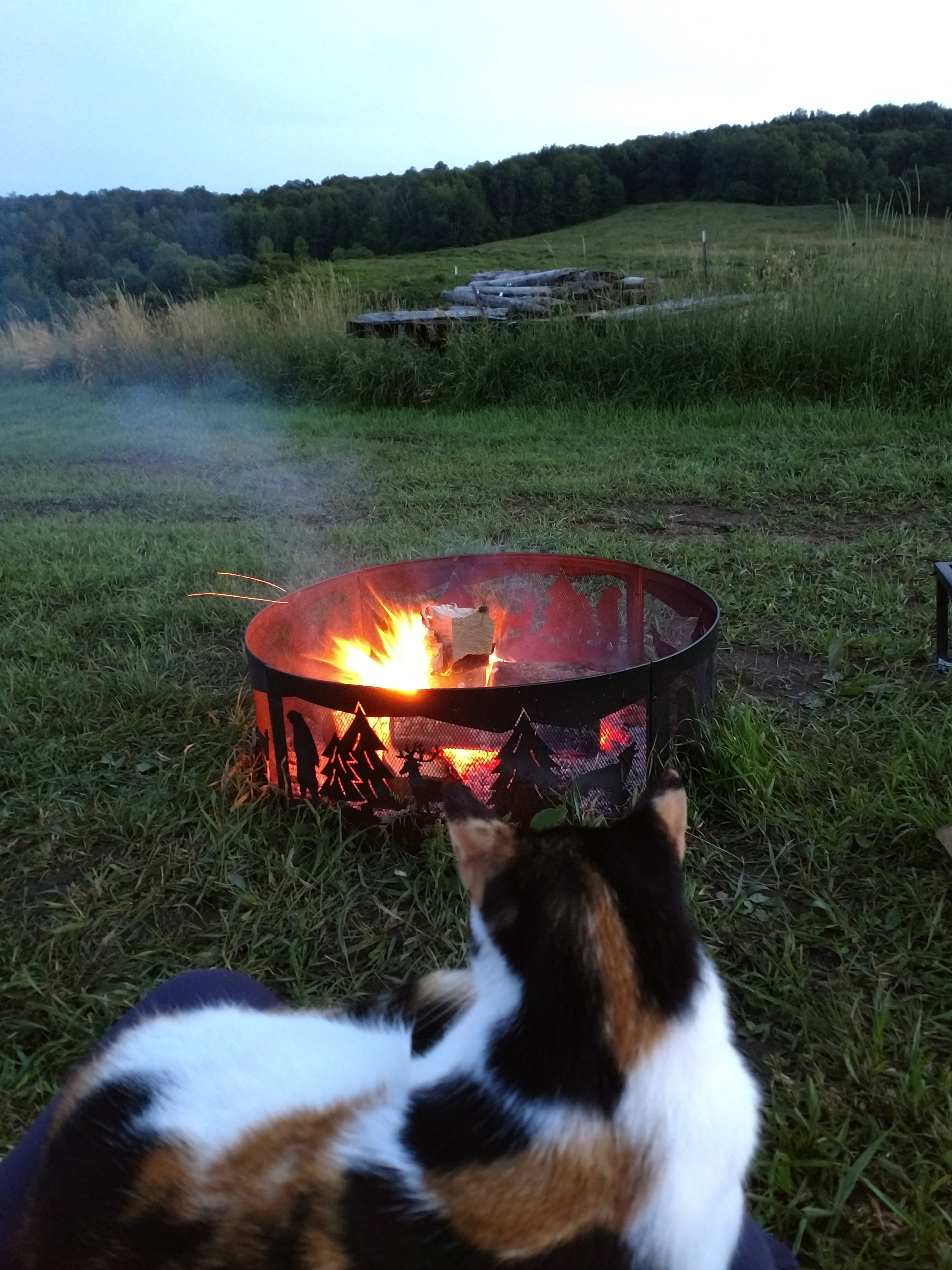 PB Farm Stay Camp Site