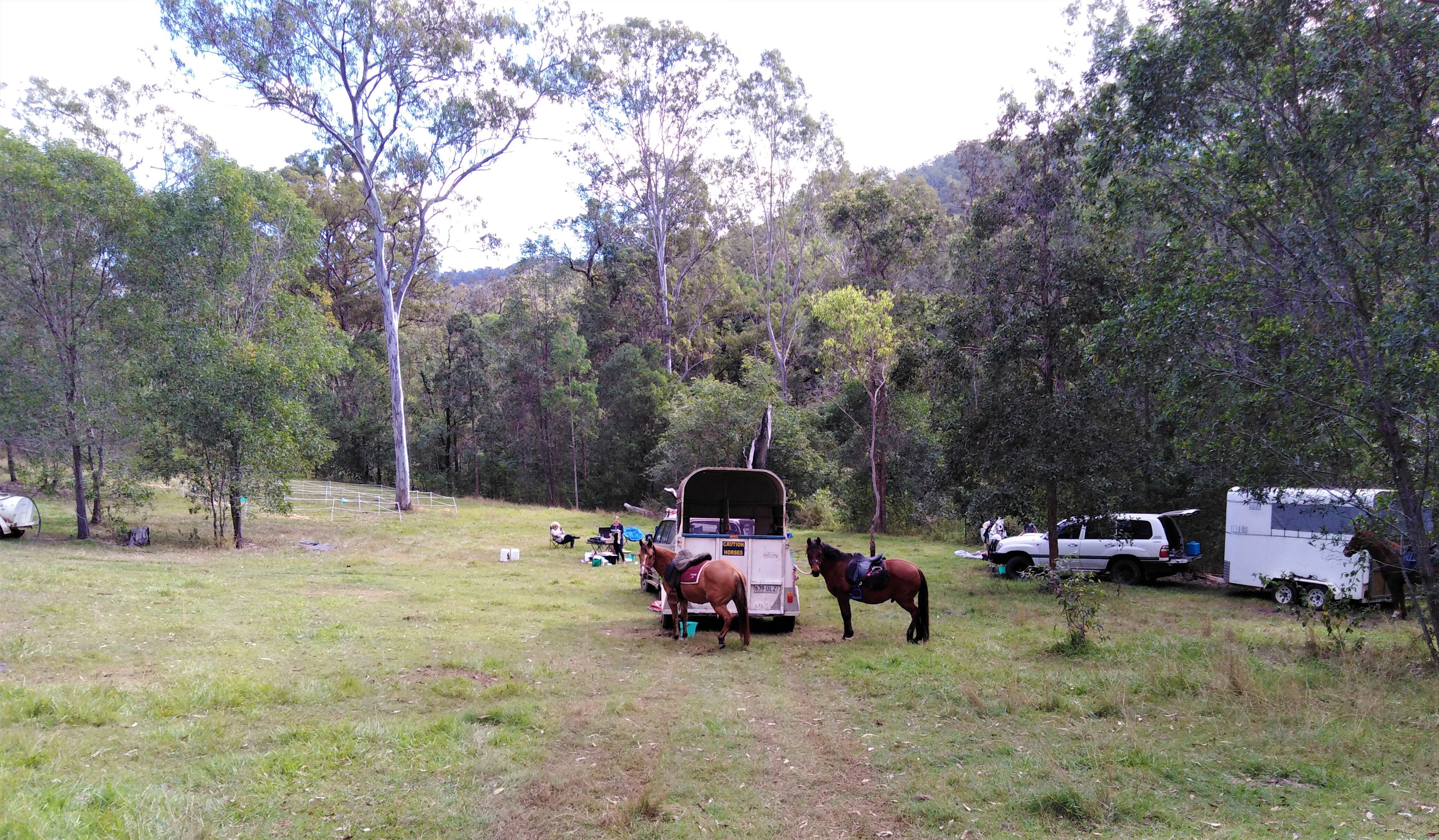 Setting up for a horse riding camp