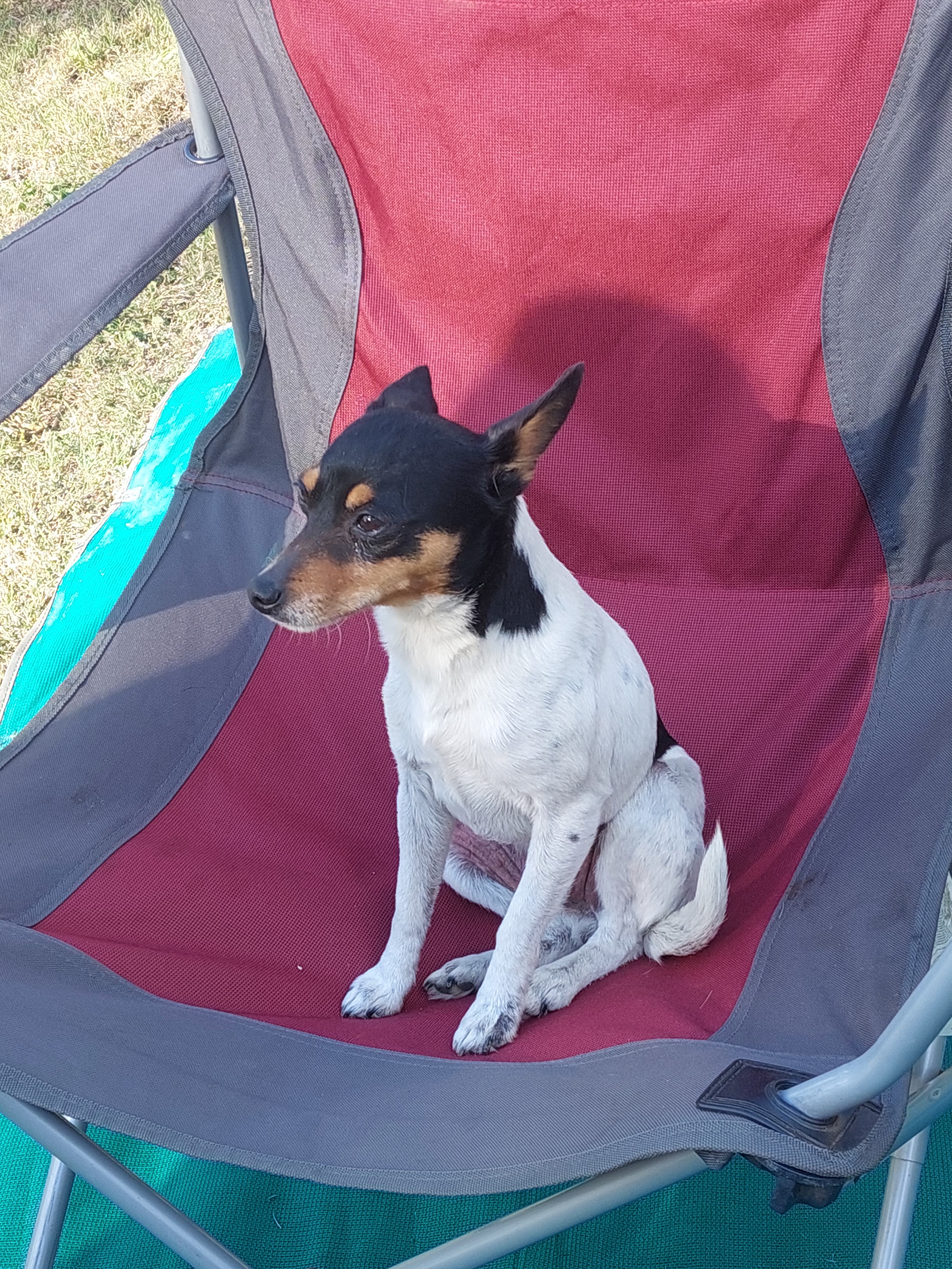 Maggie joing in with the fun