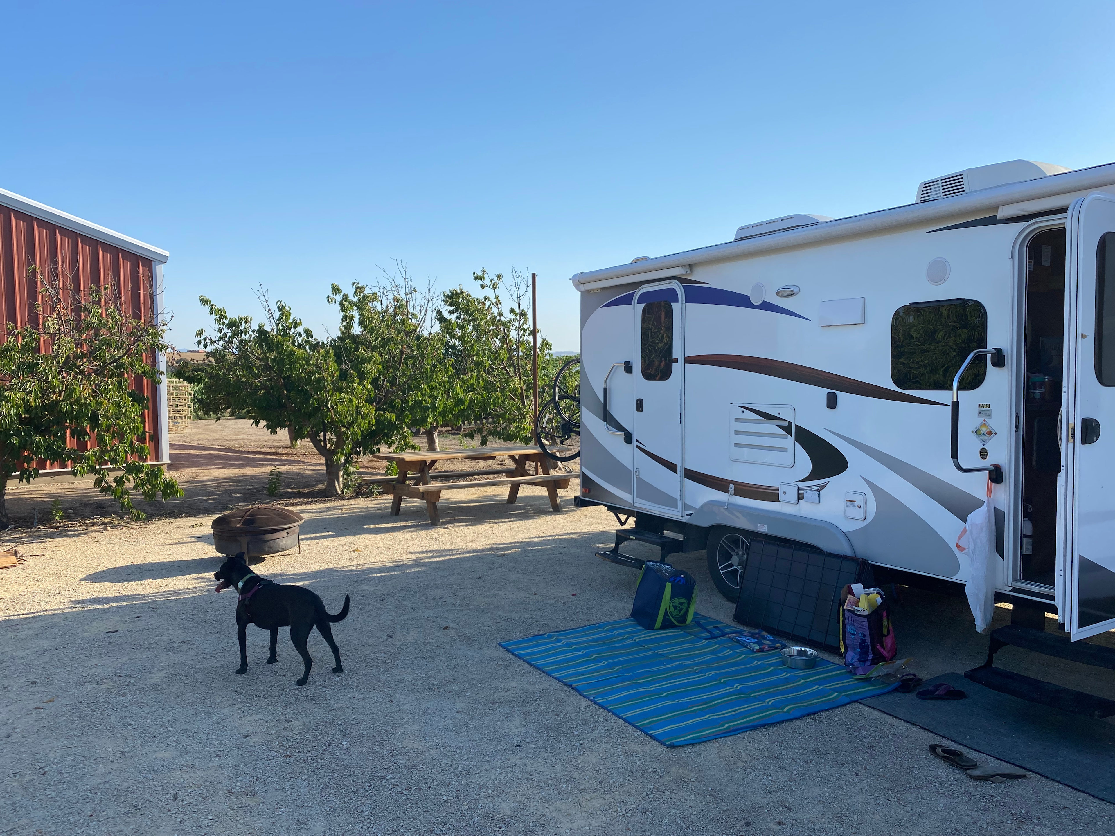 Campsite in the Vineyard