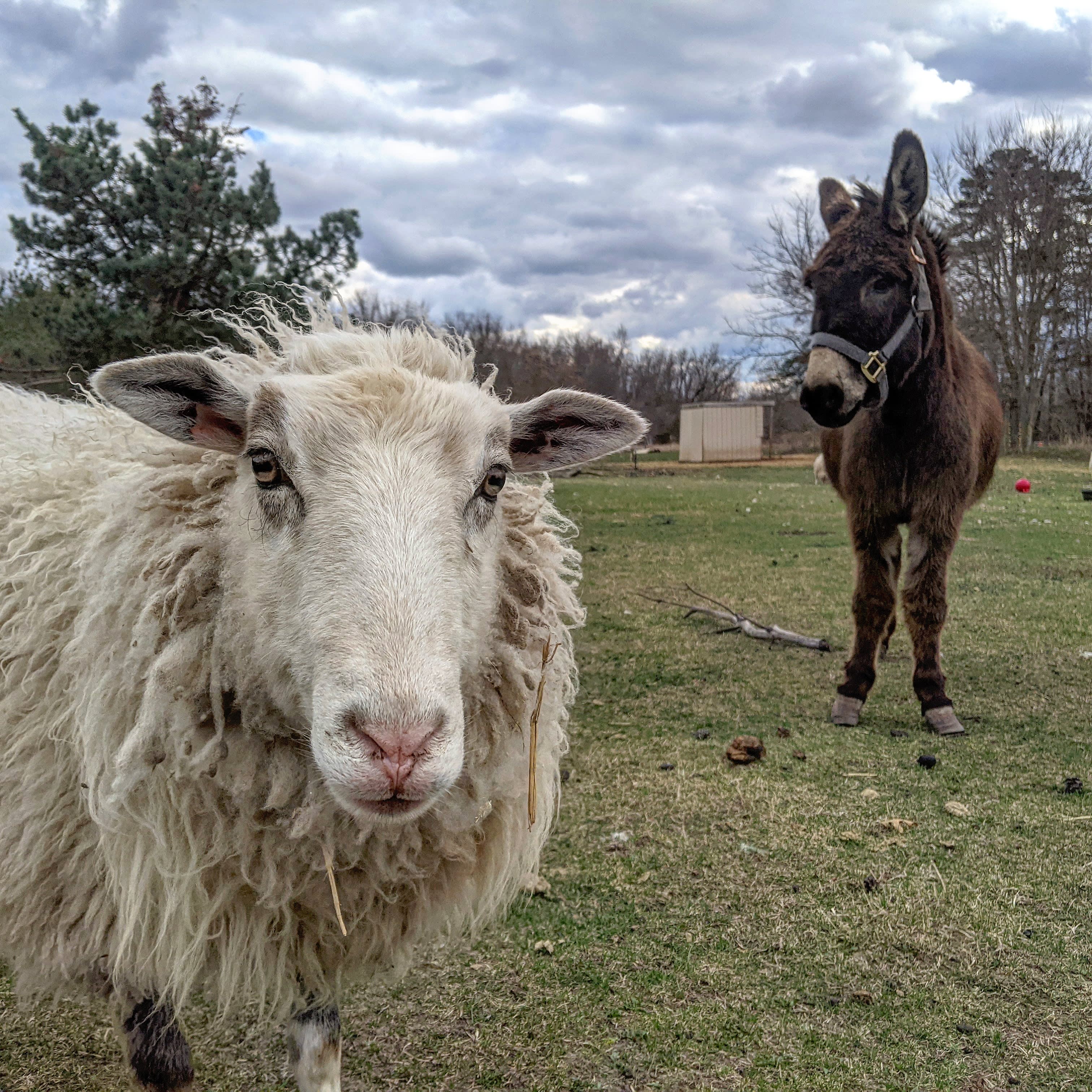 North country trail, riverside camp
