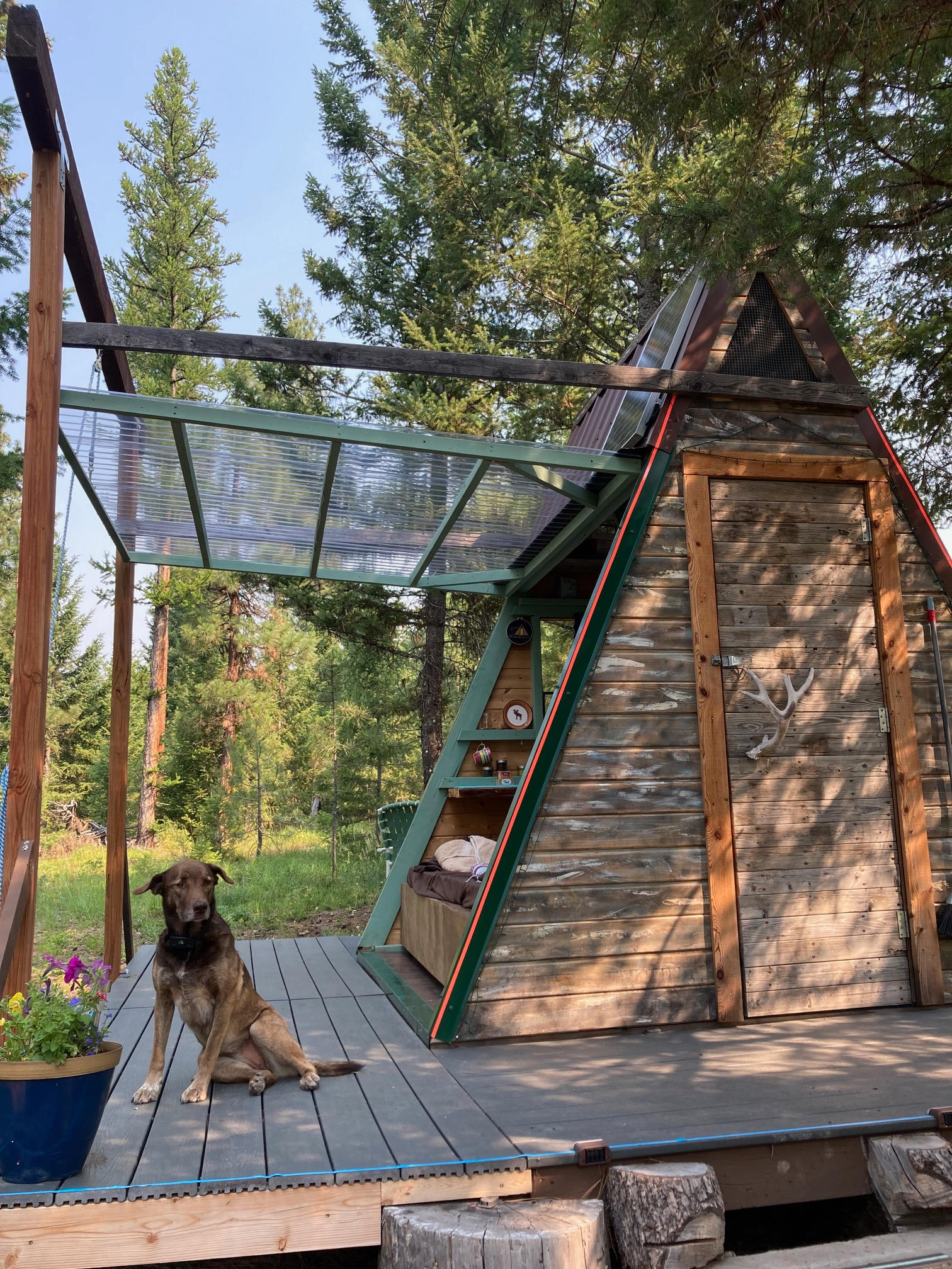 Spring at the A-frame!