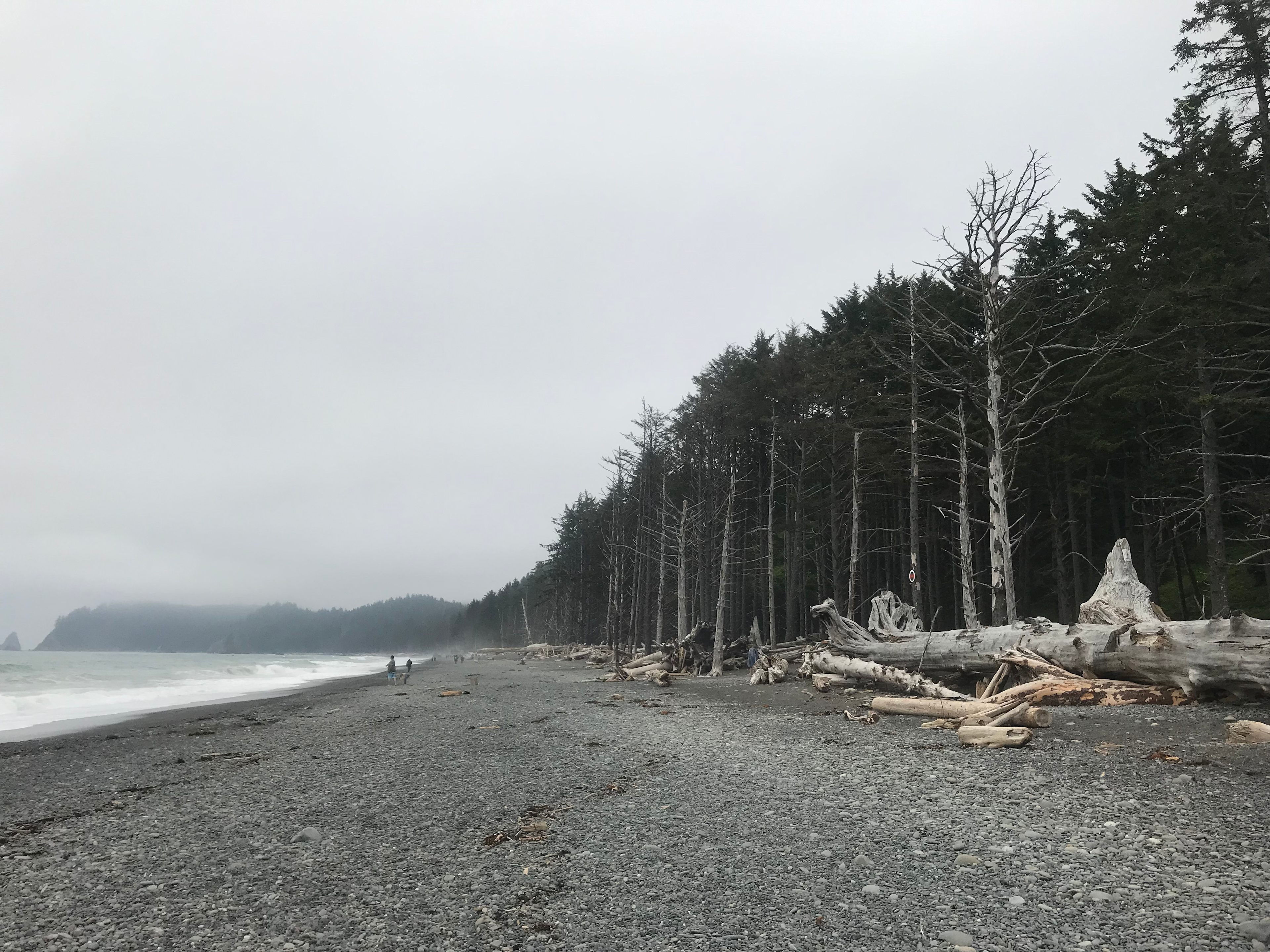Rialto Beach