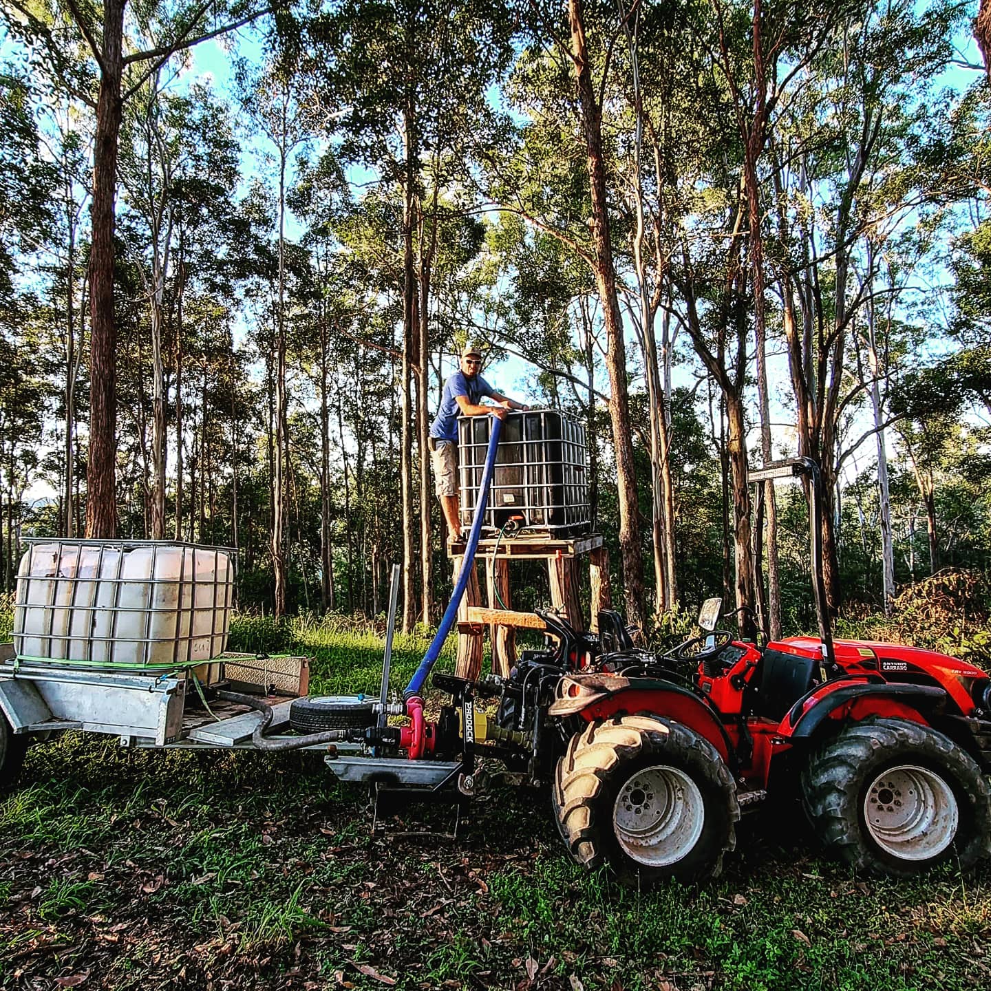 Your own rainwater gravoty-fed IBC, so no need to cart your water in and out! Non-potable.