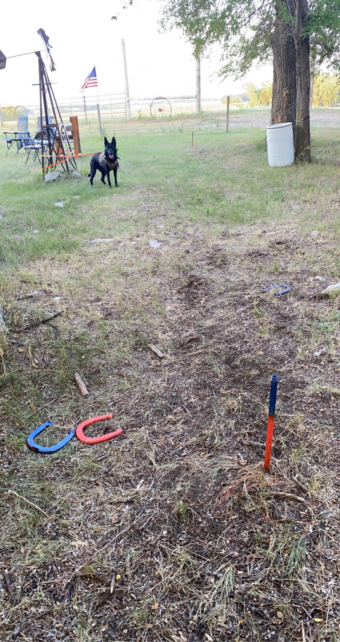 Steinke Ranch    Buffalo