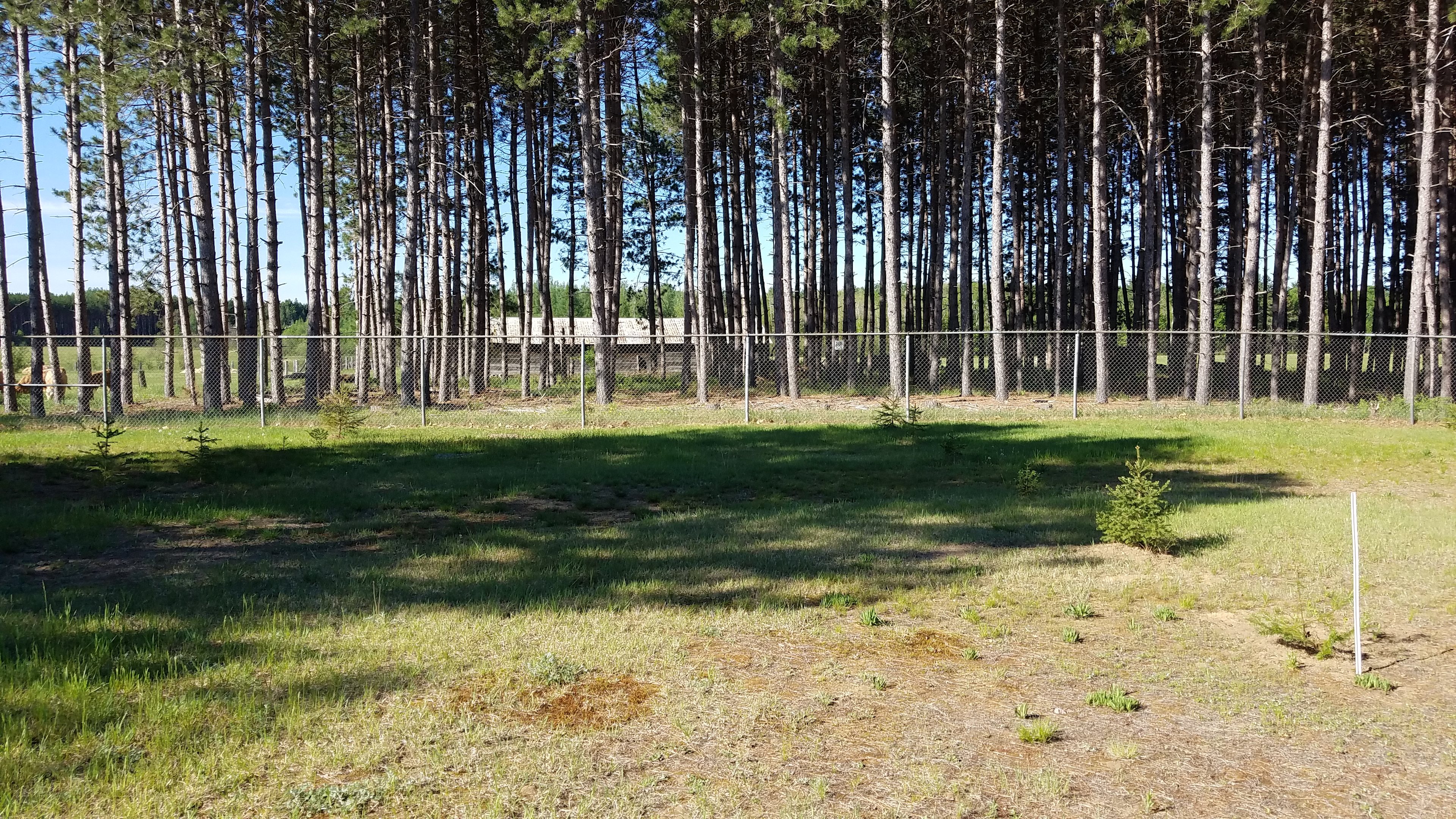 Schoolhouse Inn Campsites