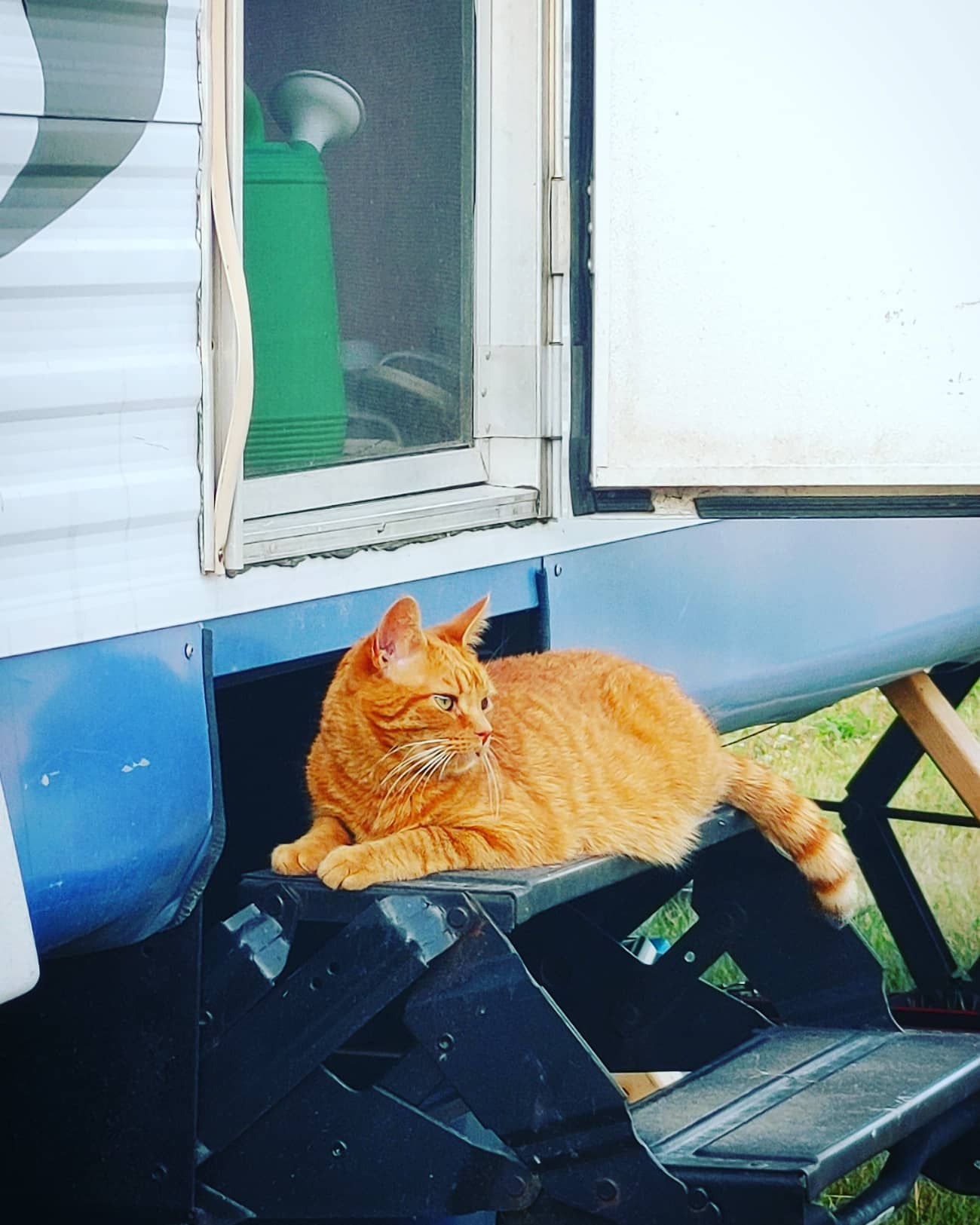 A Quiet Stay on Our Family Farm!