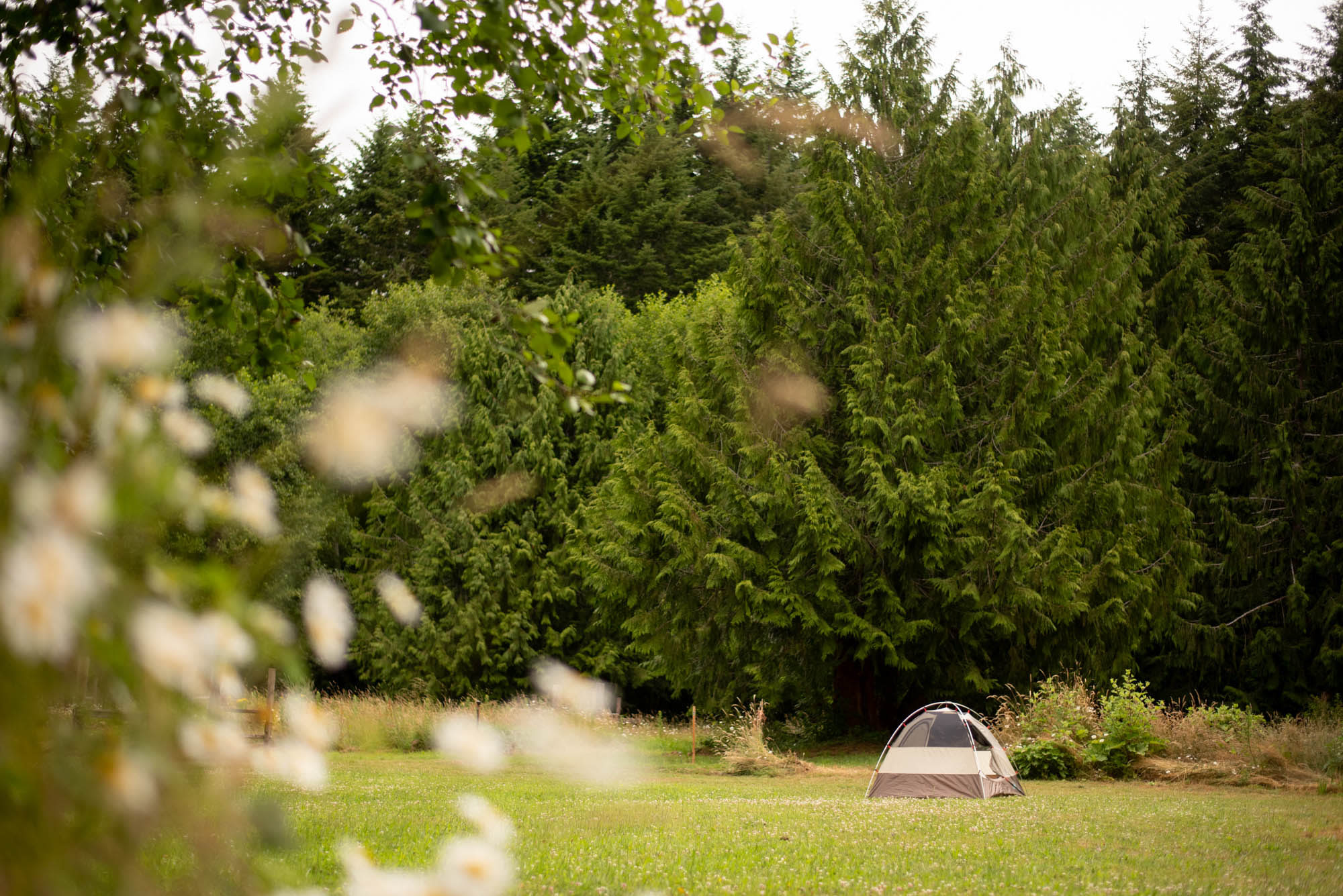 The sites are spacious and in beautiful small fields.