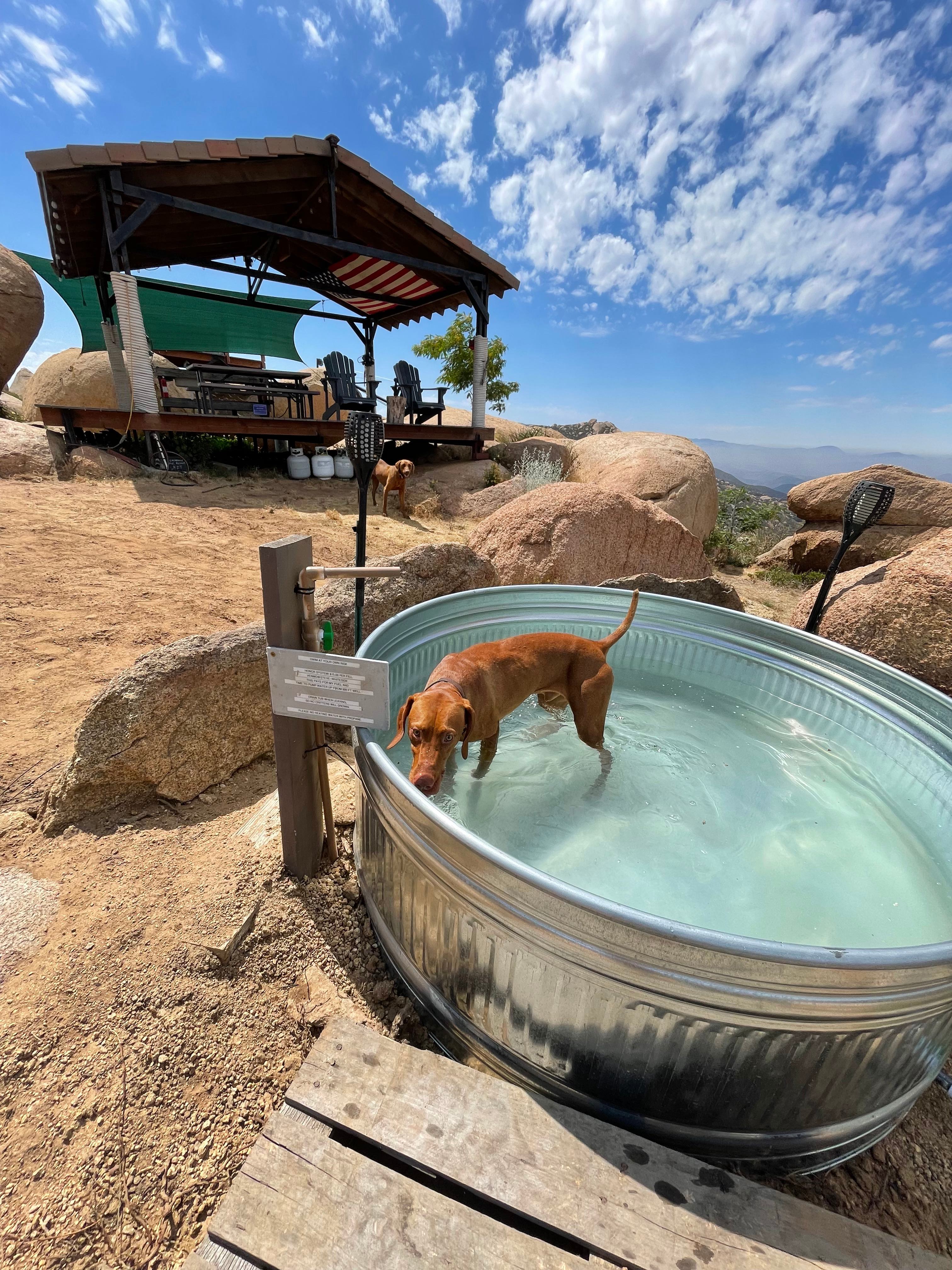 New summer addition!