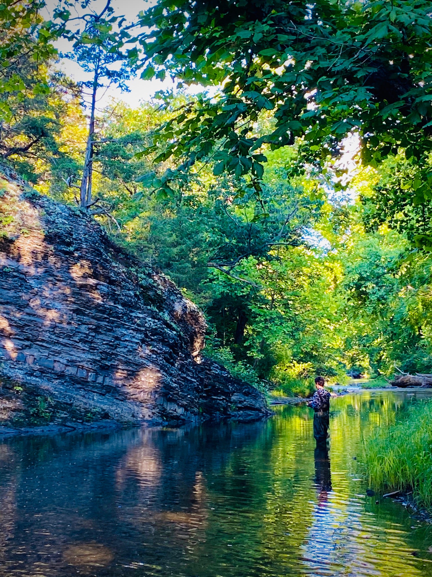 A Hidden Gem