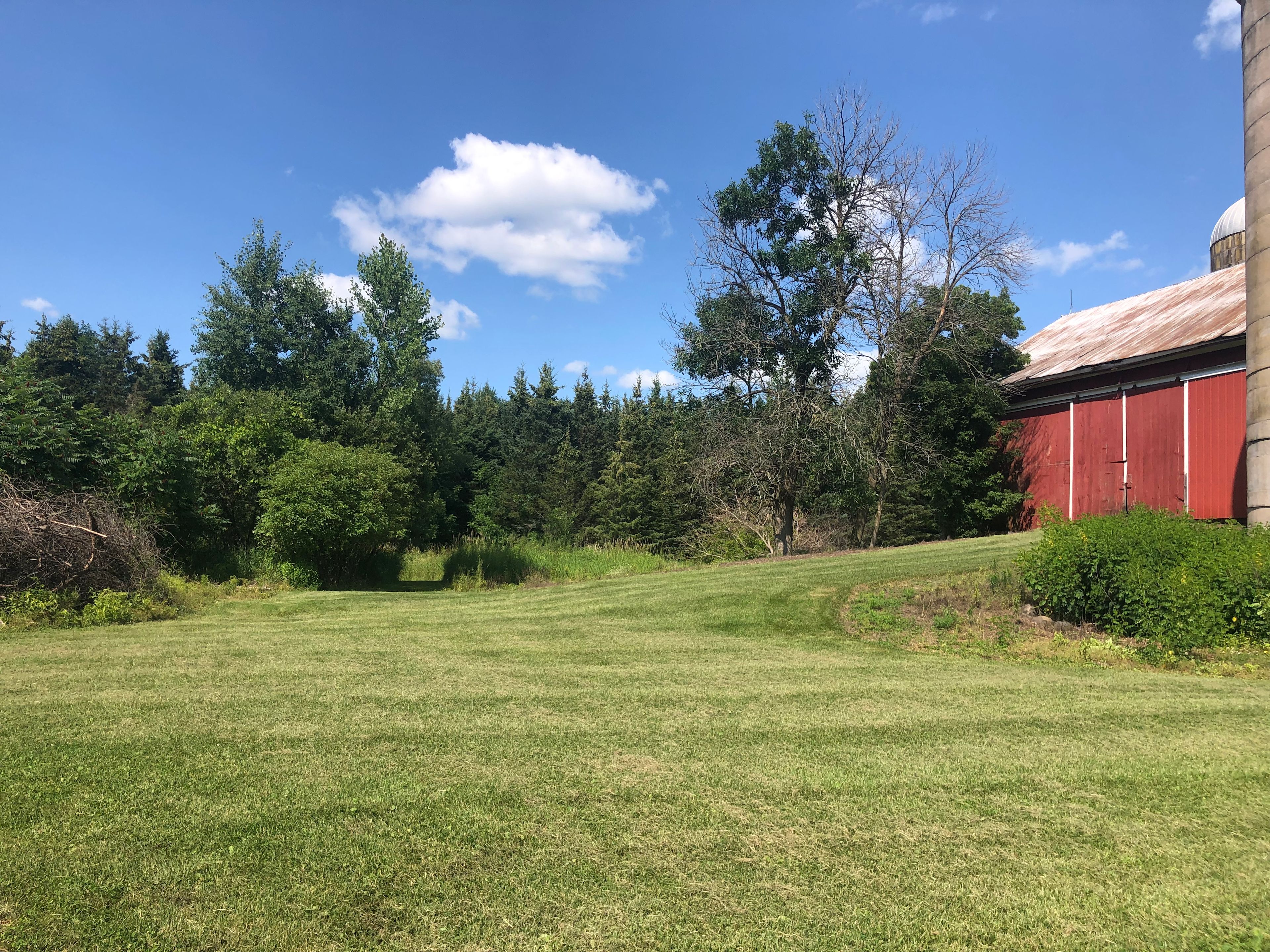 Barn area far west end of the property.  Available for tents and cars can be driven over as well.