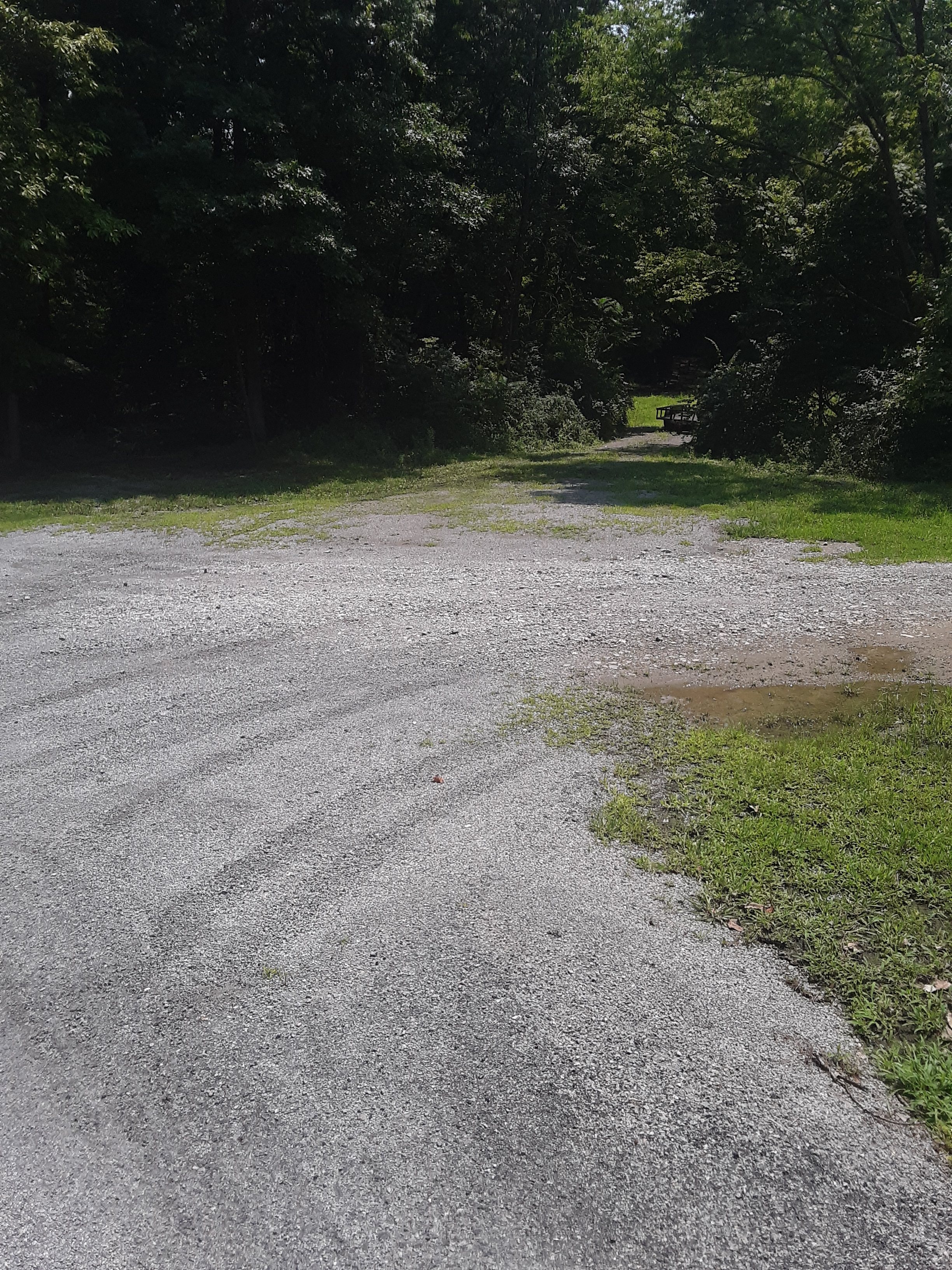 Crystal Springs