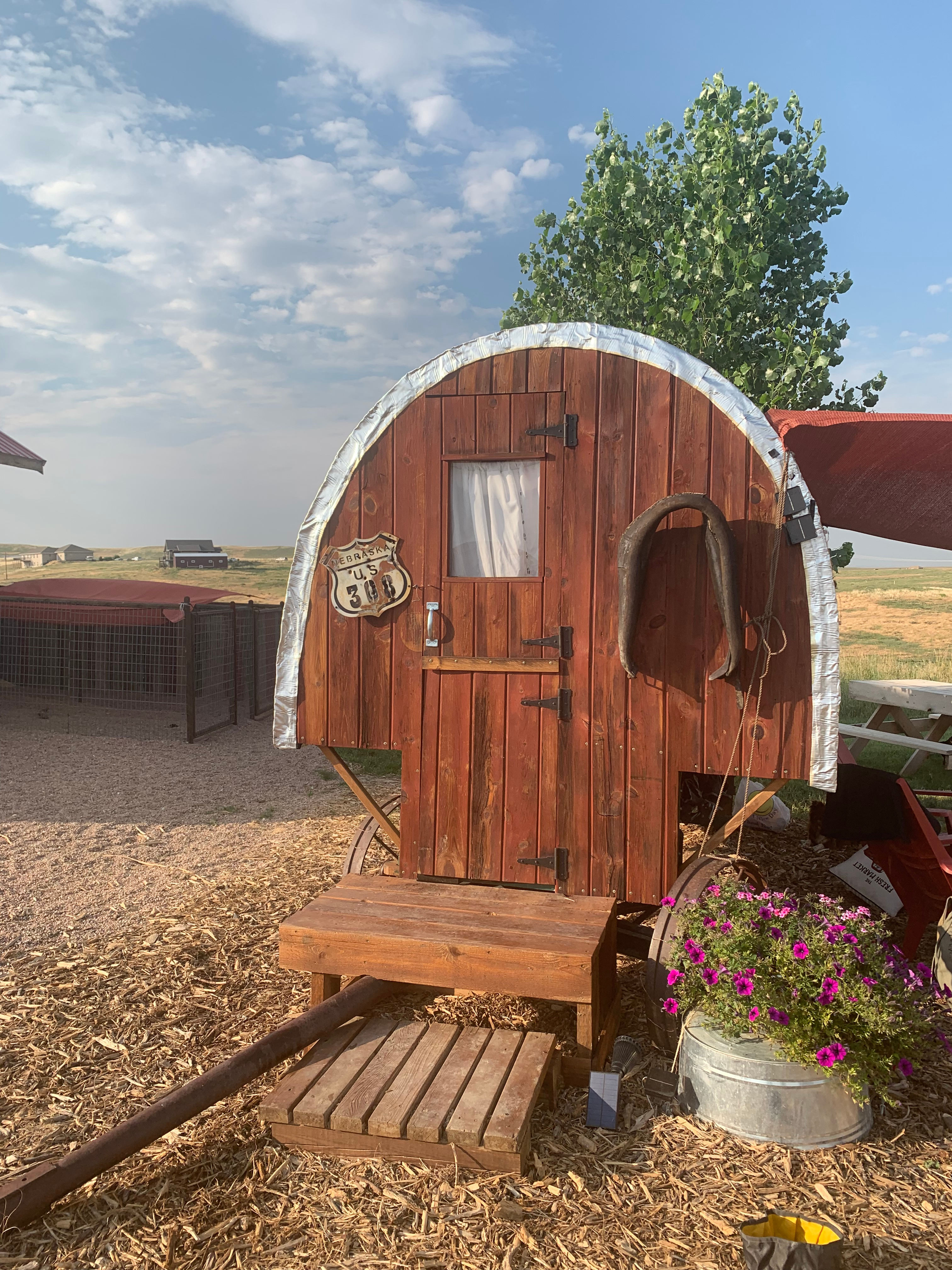 The sheep wagon! Comfortable bed with a window, listen to wildlife and trees blow in the wind!